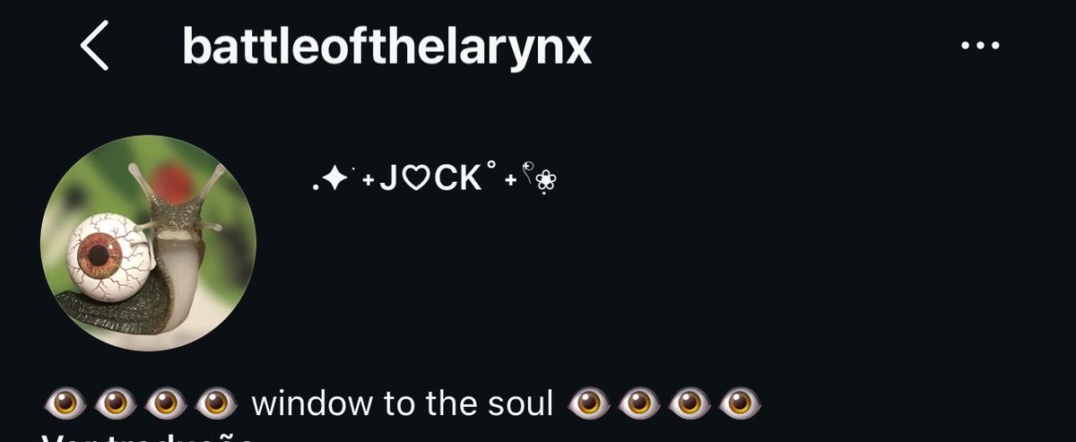 hadestanked's tweet photo. normalmente as bios usadas pelo leaker são trechos das músicas que estão no álbum, o trecho window for the soul pode estar no álbum. 
No icon do leaker podemos ver um caramujo com casco de olho, que pode fazer referência ao nome de uma música. https://t.co/GPX1VWdjf8