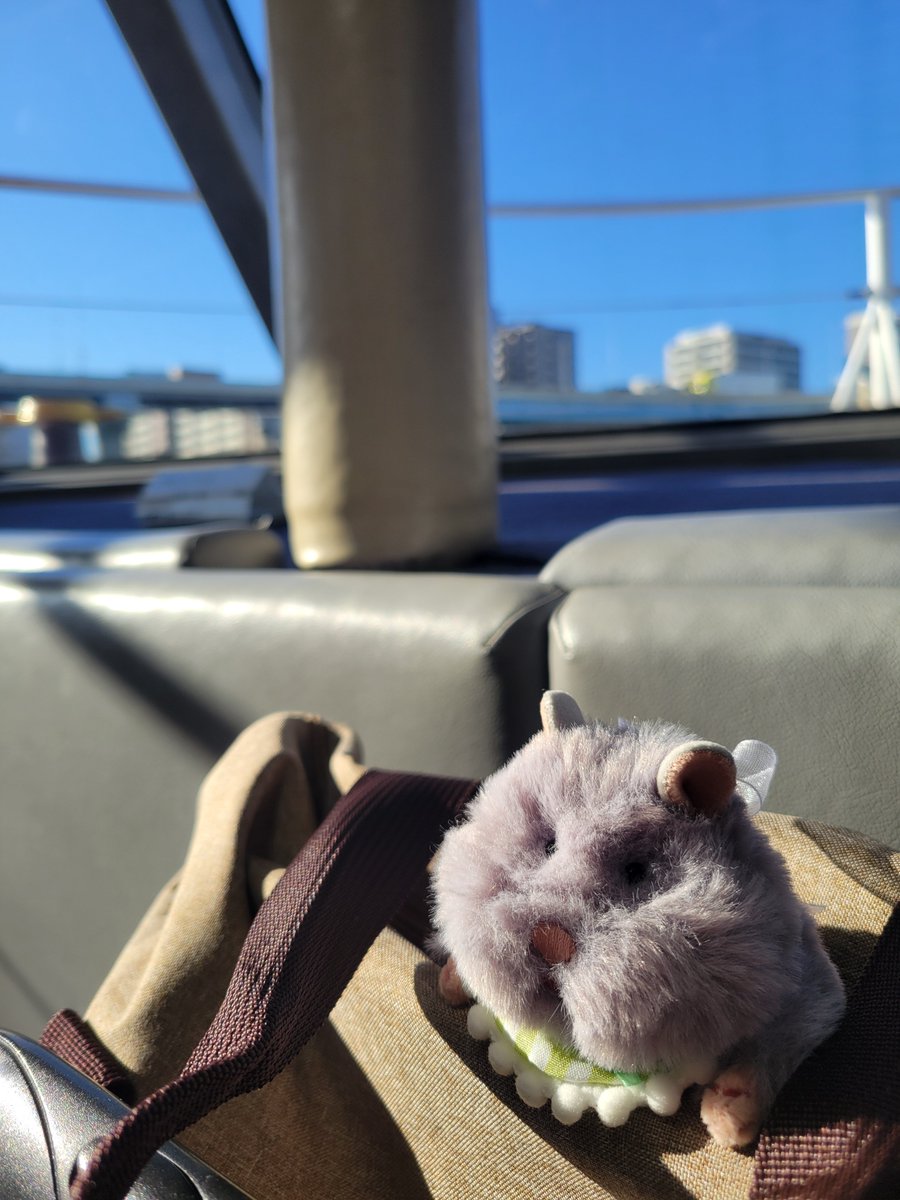 Yu_haLu_doll's tweet photo. 初！お船！！！
はむやんと一緒に行ってきます⛴️ https://t.co/YHCRLqatIi