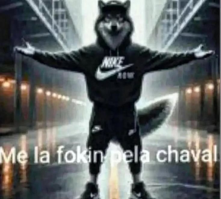 Isa25ft's tweet photo. Yo con los haters de Cortis https://t.co/ghLtUPkvh8