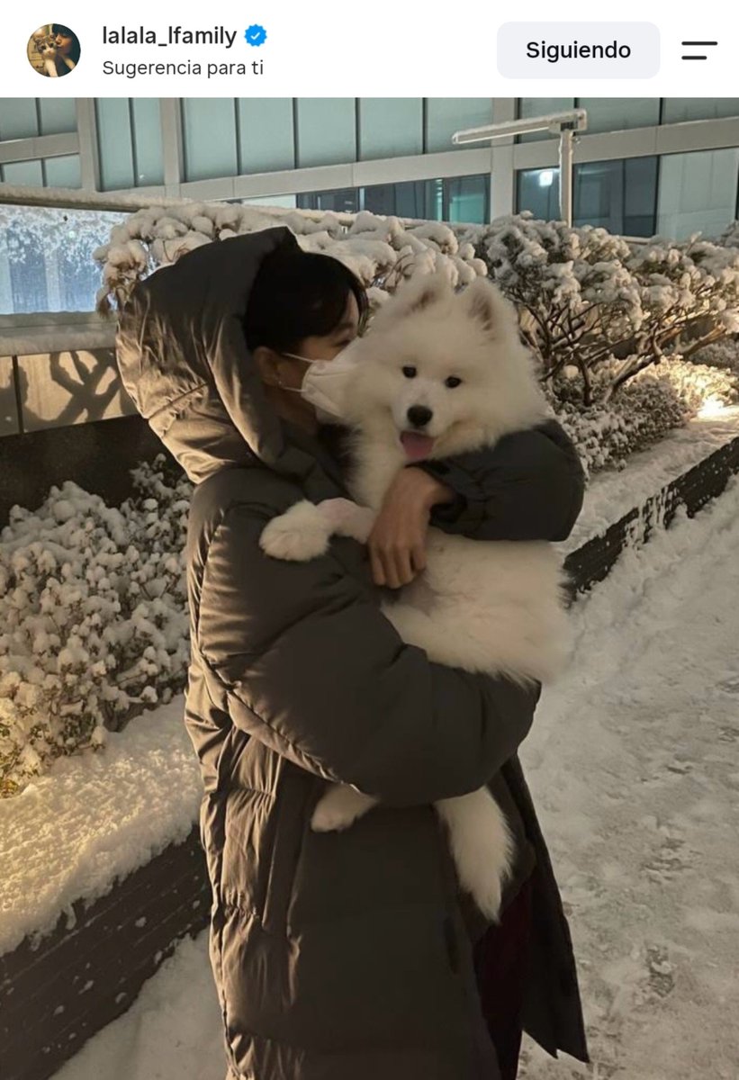 lovskpinks's tweet photo. LISA nos escondió una bendición por 6 años 🐶 https://t.co/8pVDYB2diw