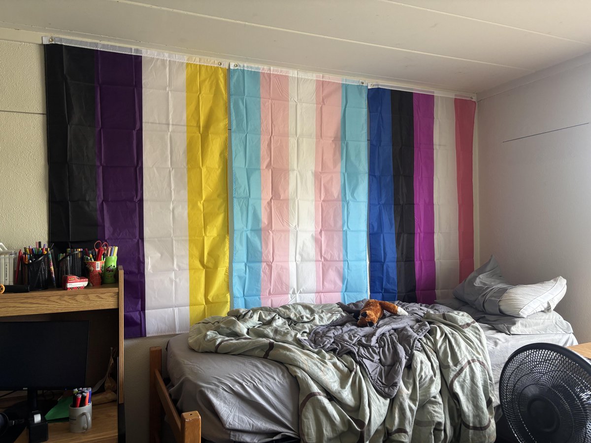 PsalmSamie's tweet photo. I dream of a bedroom like this one 🏳️‍⚧️🏳️‍🌈🏳️‍⚧️ https://t.co/adpivD2Ysl
