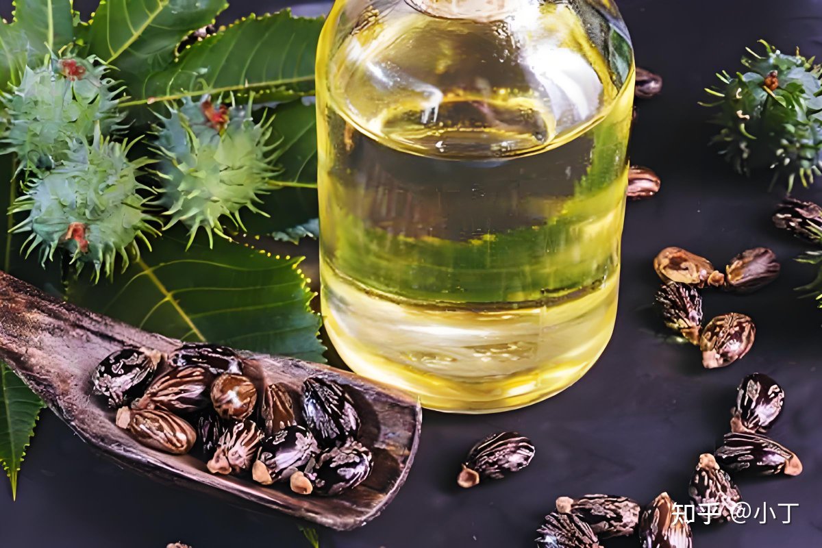 5gEhKKiwul4o75P's tweet photo. This morning I tried new seed oil from castor plants, the bold taste really sticks! https://t.co/C1WeX9Dj67