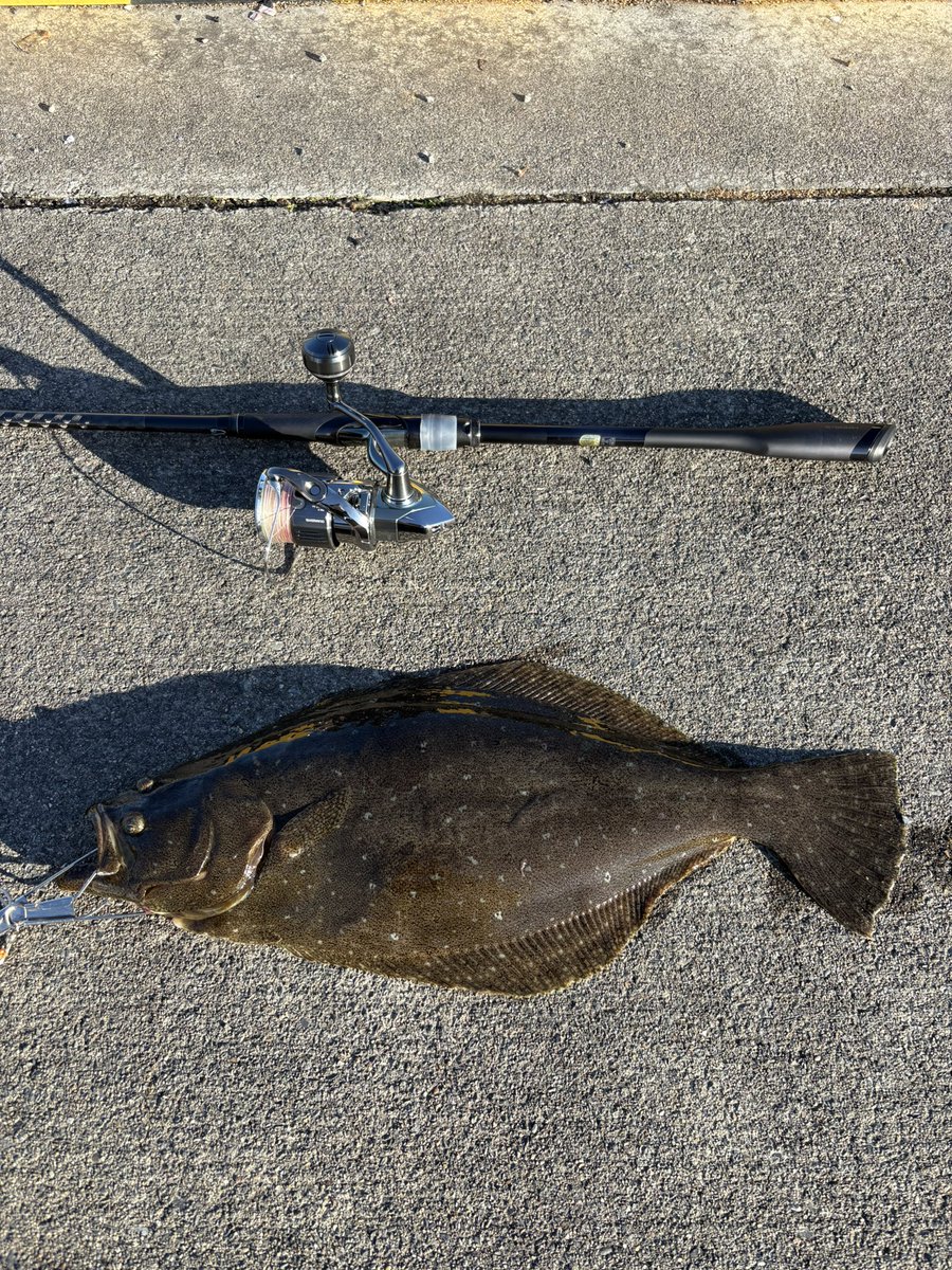 y_u____to's tweet photo. Kさんと🎣2人ともお魚さんキャッチ🐟 https://t.co/wi5j7gcvXr