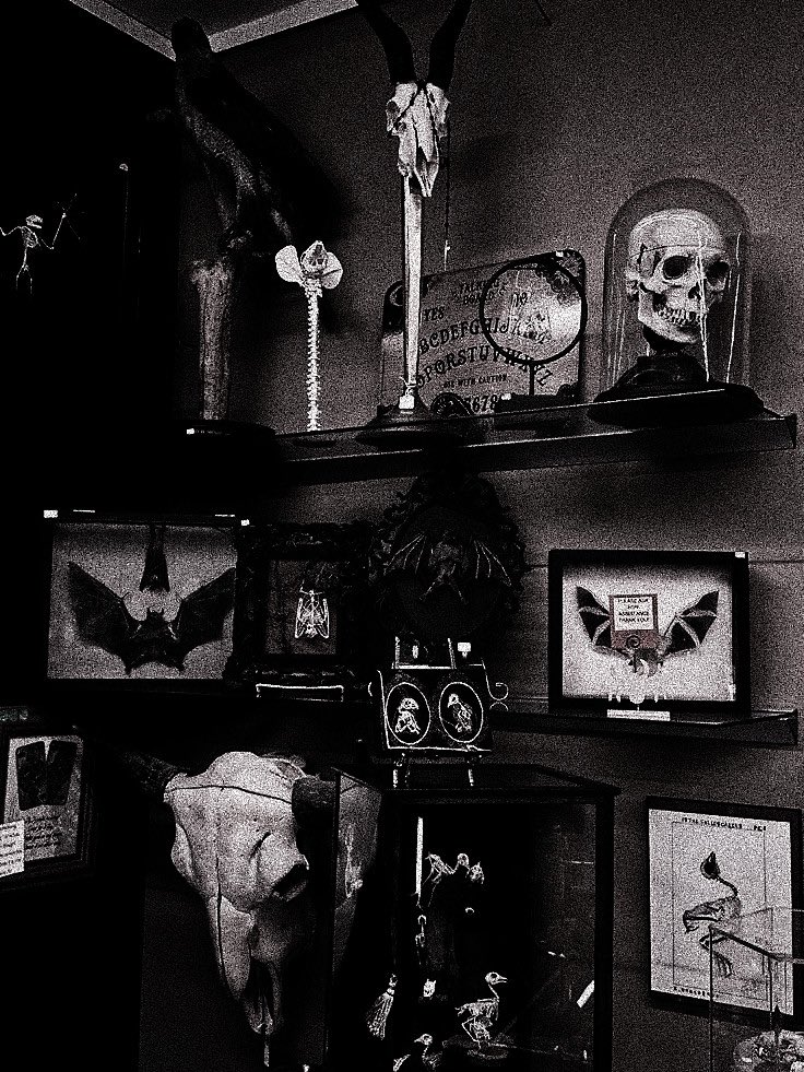svetnoir's tweet photo. ⸻ 𝓔𝗏𝖺𝗇𝗀𝖾𝗅𝗂𝗇𝖾 𝓒𝖺𝗆𝖾𝗋𝖺̵ 𝐫̵𝐨̵𝐥̵𝐥̵. https://t.co/vOrtMi6RbM
