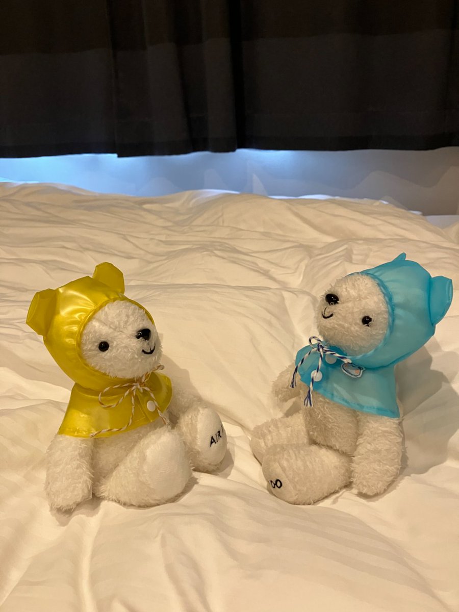airdo_hokkaido's tweet photo. おはどぅございます • ᴥ •
これで雨が降っても、お外で遊べるね！☔ https://t.co/yQu4ziIVPx