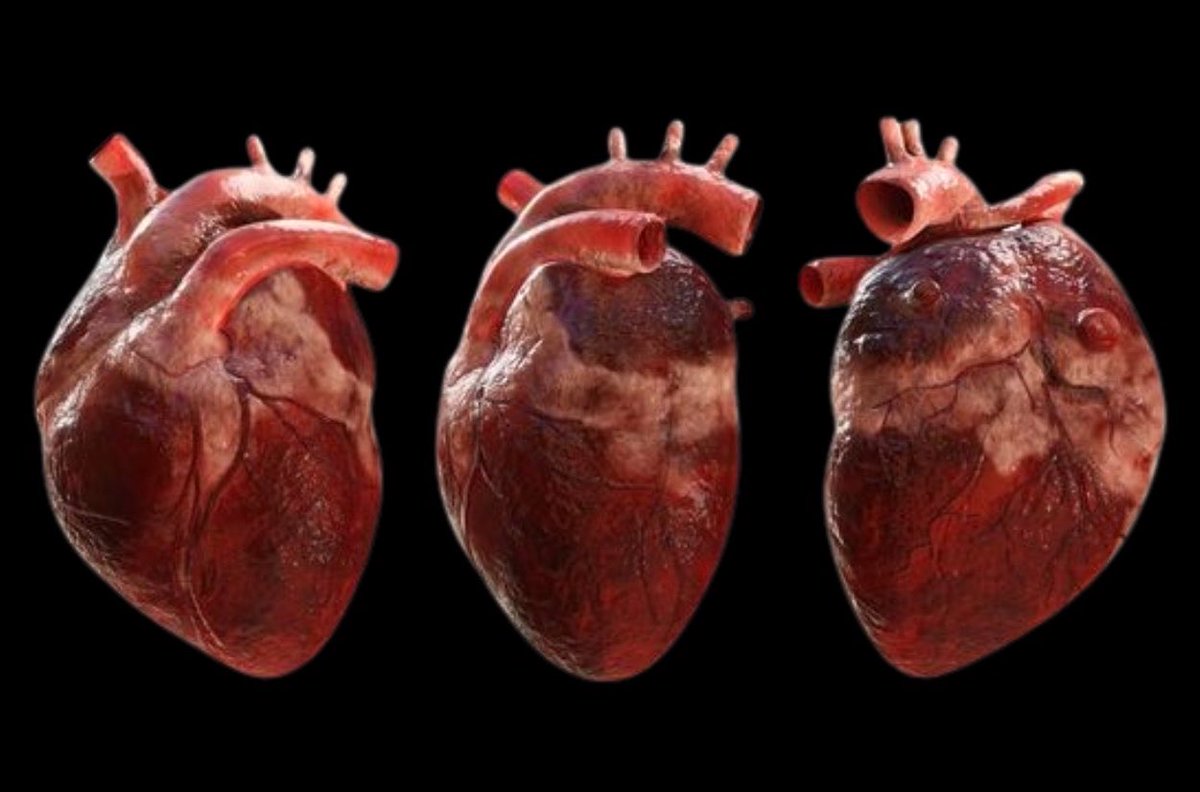 gh0stfacegf's tweet photo. give me your heart 
so i can wear it around my neck https://t.co/K8xXZrfGQc
