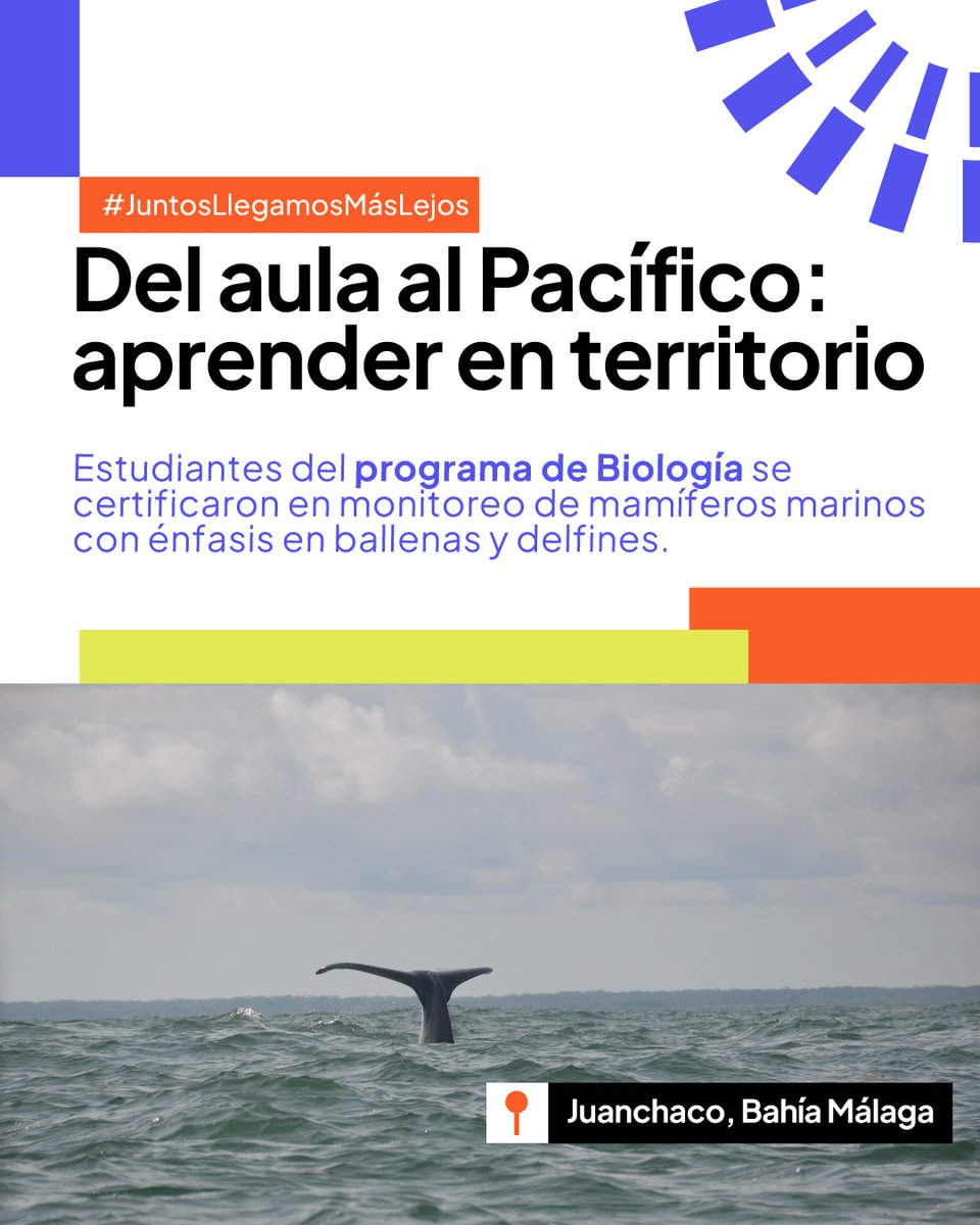 icesi's tweet photo. Estudiantes del programa de Biología de la Universidad Icesi participaron en la certificación en monitoreo de mamíferos marinos con énfasis en ballenas y delfines, una experiencia que combinó formación teórica y aprendizaje práctico en territorio.

Durante dos días, los estudiantes fortalecieron sus conocimientos en la Universidad y posteriormente se trasladaron a Juanchaco, Bahía Málaga, para ponerlos en práctica durante la temporada de visita de estos mamíferos marinos a Colombia.

En campo realizaron actividades como foto identificación, pruebas con hidrófonos, identificación de cantos de machos y análisis de datos, acercándose de manera directa a las metodologías utilizadas para estudiar y monitorear estas especies.

La formación estuvo guiada por Isabel Cristina Ávila Jiménez, bióloga marina y doctora en Ciencias Ambientales, investigadora asociada del Instituto de Investigación de Fauna Silvestre Terrestre y Acuática (ITAW) de la Universidad de Medicina Veterinaria de Hannover, Alemania, y miembro investigador ad honorem del grupo de Ecología Animal de la Universidad del Valle.

Esta experiencia conectó el conocimiento científico con el territorio y permitió a nuestros estudiantes aprender haciendo, mientras conocieron y aportaron al estudio de la biodiversidad del Pacífico colombiano.

Agradecemos a @IcetexC  por apoyar estas experiencias de formación.

#Icesi #TalentoIcesi