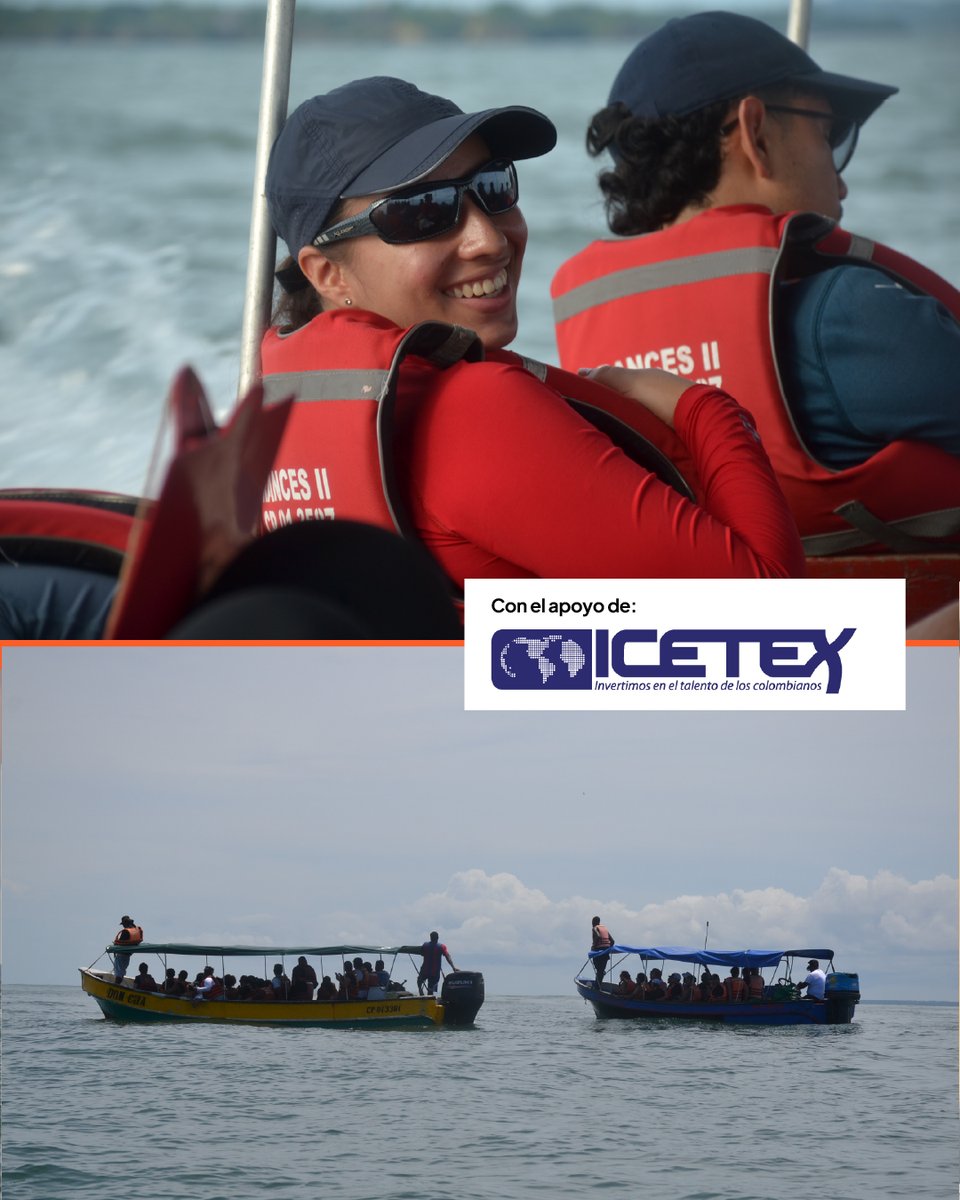 icesi's tweet photo. Estudiantes del programa de Biología de la Universidad Icesi participaron en la certificación en monitoreo de mamíferos marinos con énfasis en ballenas y delfines, una experiencia que combinó formación teórica y aprendizaje práctico en territorio.

Durante dos días, los estudiantes fortalecieron sus conocimientos en la Universidad y posteriormente se trasladaron a Juanchaco, Bahía Málaga, para ponerlos en práctica durante la temporada de visita de estos mamíferos marinos a Colombia.

En campo realizaron actividades como foto identificación, pruebas con hidrófonos, identificación de cantos de machos y análisis de datos, acercándose de manera directa a las metodologías utilizadas para estudiar y monitorear estas especies.

La formación estuvo guiada por Isabel Cristina Ávila Jiménez, bióloga marina y doctora en Ciencias Ambientales, investigadora asociada del Instituto de Investigación de Fauna Silvestre Terrestre y Acuática (ITAW) de la Universidad de Medicina Veterinaria de Hannover, Alemania, y miembro investigador ad honorem del grupo de Ecología Animal de la Universidad del Valle.

Esta experiencia conectó el conocimiento científico con el territorio y permitió a nuestros estudiantes aprender haciendo, mientras conocieron y aportaron al estudio de la biodiversidad del Pacífico colombiano.

Agradecemos a @IcetexC  por apoyar estas experiencias de formación.

#Icesi #TalentoIcesi
