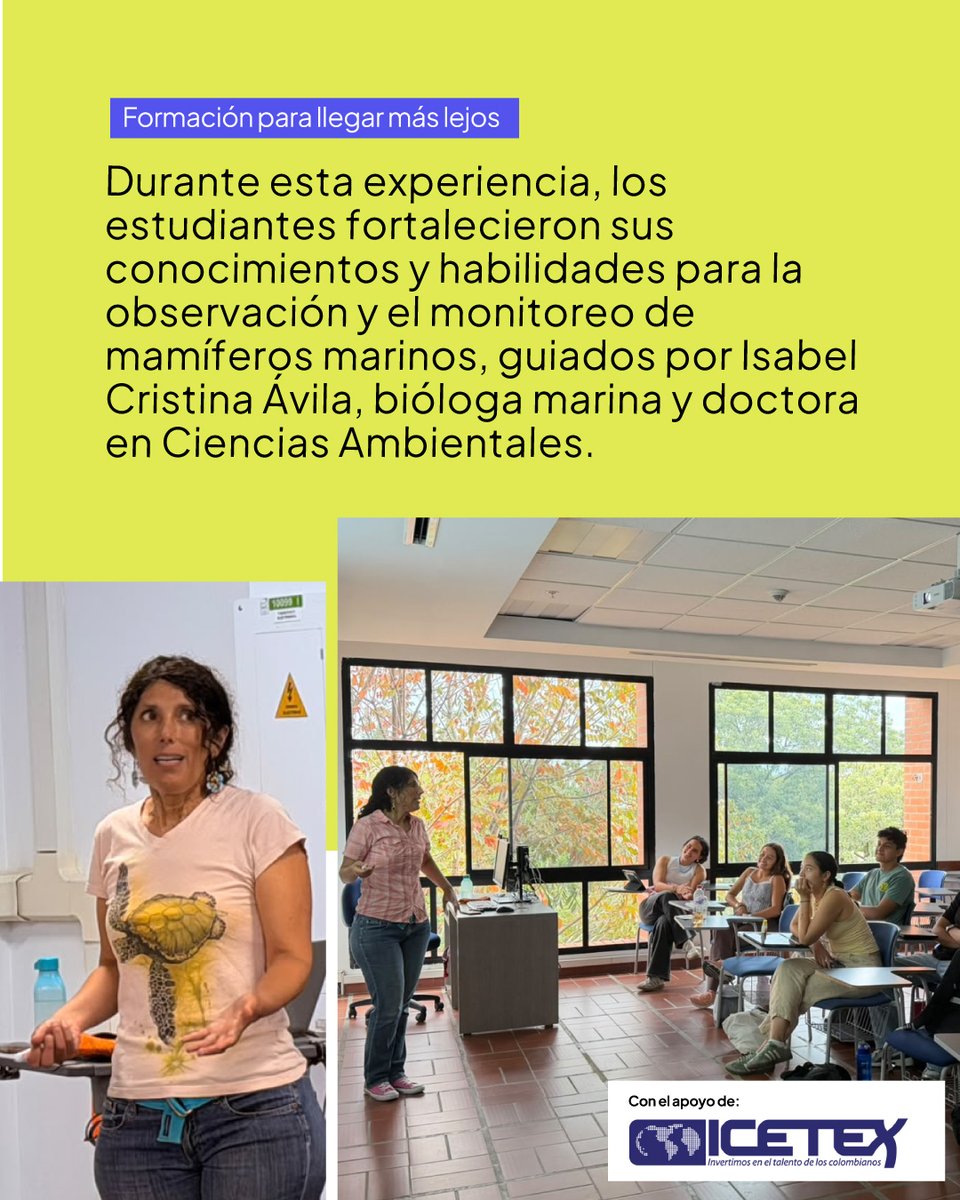 icesi's tweet photo. Estudiantes del programa de Biología de la Universidad Icesi participaron en la certificación en monitoreo de mamíferos marinos con énfasis en ballenas y delfines, una experiencia que combinó formación teórica y aprendizaje práctico en territorio.

Durante dos días, los estudiantes fortalecieron sus conocimientos en la Universidad y posteriormente se trasladaron a Juanchaco, Bahía Málaga, para ponerlos en práctica durante la temporada de visita de estos mamíferos marinos a Colombia.

En campo realizaron actividades como foto identificación, pruebas con hidrófonos, identificación de cantos de machos y análisis de datos, acercándose de manera directa a las metodologías utilizadas para estudiar y monitorear estas especies.

La formación estuvo guiada por Isabel Cristina Ávila Jiménez, bióloga marina y doctora en Ciencias Ambientales, investigadora asociada del Instituto de Investigación de Fauna Silvestre Terrestre y Acuática (ITAW) de la Universidad de Medicina Veterinaria de Hannover, Alemania, y miembro investigador ad honorem del grupo de Ecología Animal de la Universidad del Valle.

Esta experiencia conectó el conocimiento científico con el territorio y permitió a nuestros estudiantes aprender haciendo, mientras conocieron y aportaron al estudio de la biodiversidad del Pacífico colombiano.

Agradecemos a @IcetexC  por apoyar estas experiencias de formación.

#Icesi #TalentoIcesi