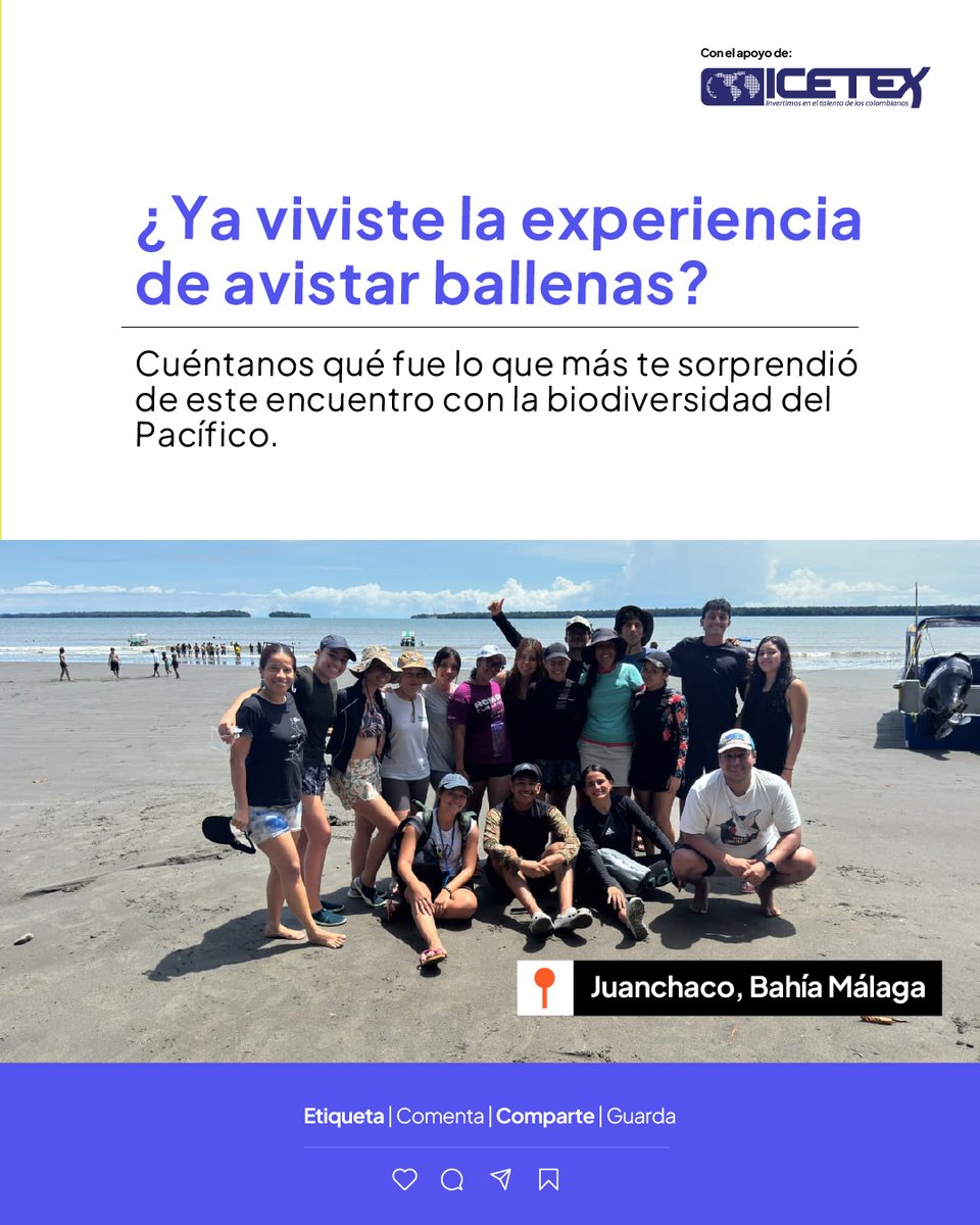 icesi's tweet photo. Estudiantes del programa de Biología de la Universidad Icesi participaron en la certificación en monitoreo de mamíferos marinos con énfasis en ballenas y delfines, una experiencia que combinó formación teórica y aprendizaje práctico en territorio.

Durante dos días, los estudiantes fortalecieron sus conocimientos en la Universidad y posteriormente se trasladaron a Juanchaco, Bahía Málaga, para ponerlos en práctica durante la temporada de visita de estos mamíferos marinos a Colombia.

En campo realizaron actividades como foto identificación, pruebas con hidrófonos, identificación de cantos de machos y análisis de datos, acercándose de manera directa a las metodologías utilizadas para estudiar y monitorear estas especies.

La formación estuvo guiada por Isabel Cristina Ávila Jiménez, bióloga marina y doctora en Ciencias Ambientales, investigadora asociada del Instituto de Investigación de Fauna Silvestre Terrestre y Acuática (ITAW) de la Universidad de Medicina Veterinaria de Hannover, Alemania, y miembro investigador ad honorem del grupo de Ecología Animal de la Universidad del Valle.

Esta experiencia conectó el conocimiento científico con el territorio y permitió a nuestros estudiantes aprender haciendo, mientras conocieron y aportaron al estudio de la biodiversidad del Pacífico colombiano.

Agradecemos a @IcetexC  por apoyar estas experiencias de formación.

#Icesi #TalentoIcesi