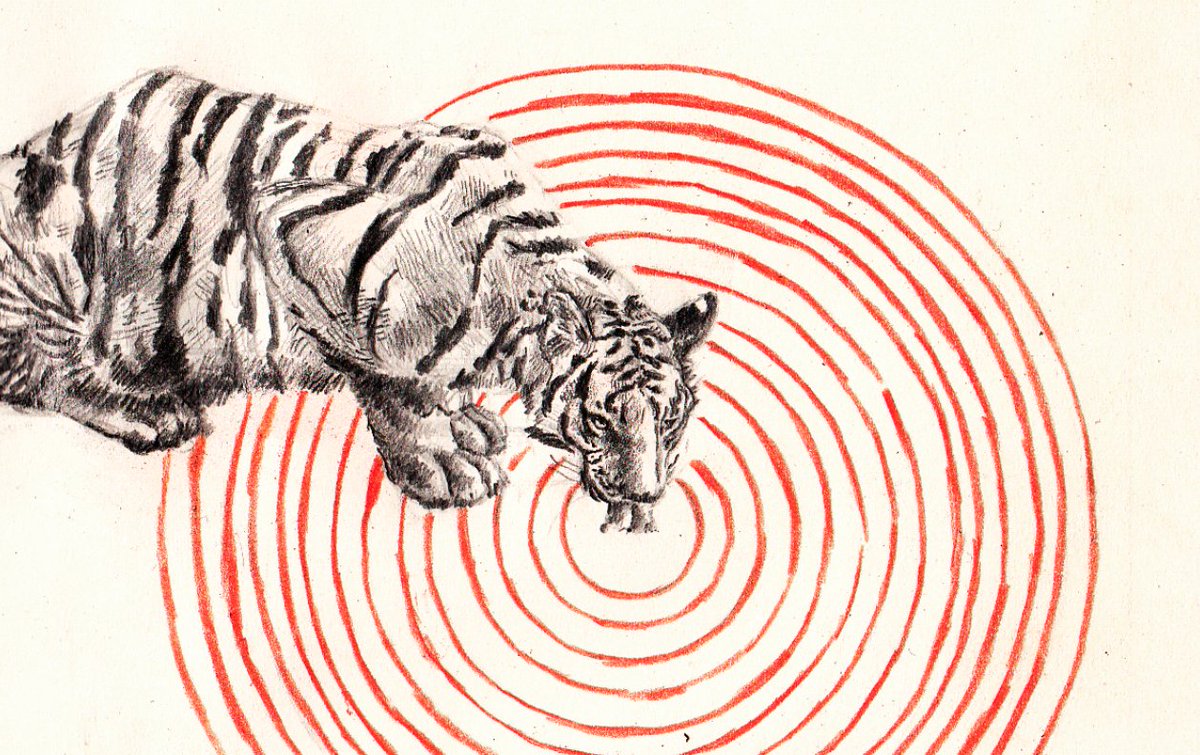 solisolsoli's tweet photo. Tiger and Red Rings · Santiago Guevara https://t.co/aSWEwLEMV3