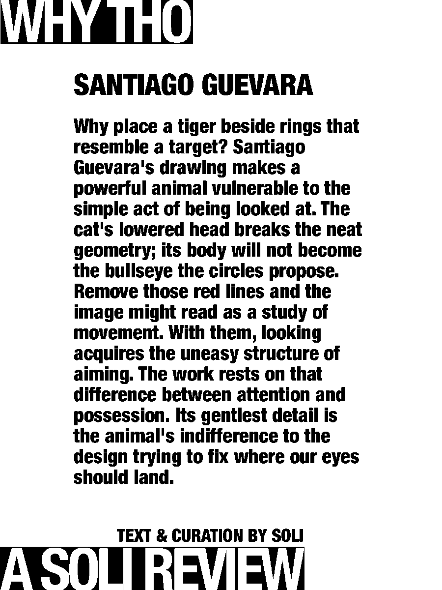 solisolsoli's tweet photo. Tiger and Red Rings · Santiago Guevara https://t.co/aSWEwLEMV3