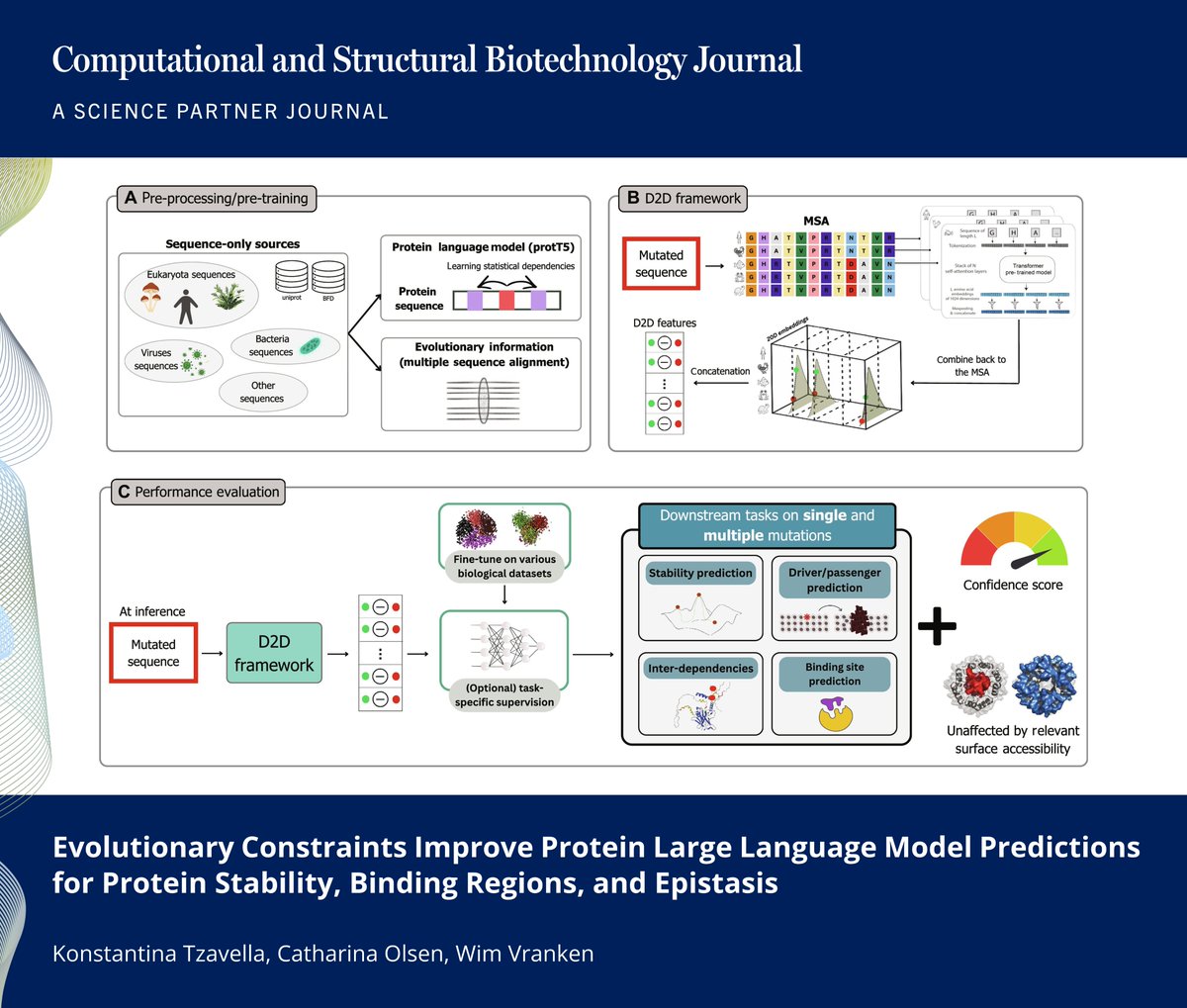CSB_Journal's tweet photo. 🔗 Evolutionary Constraints Improve Protein Large Language Model Predictions for Protein Stability, Binding Regions, and Epistasis. https://t.co/uQCSAp7sBF

📚CSBJ: https://t.co/KwJ0GnOipI

@JulesBordet @BrusselsBioInfo @VUBrussel @aibrussels @CSB_Journal #ProteinScience #AI #LLM https://t.co/oKmZZ9odZh