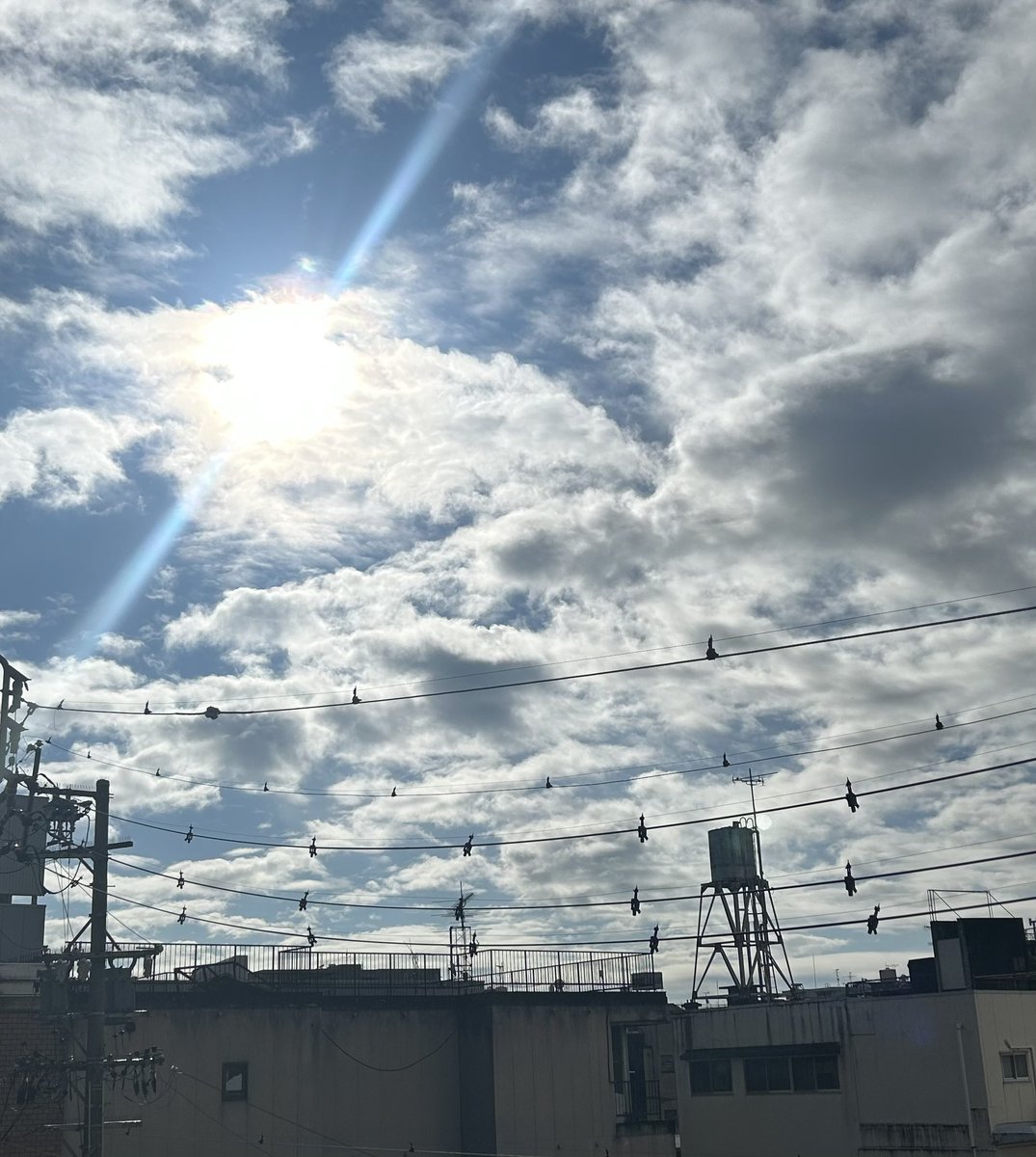 ryouteiokami's tweet photo. おはようございます。
わ！晴れた！嬉しい！ 久しぶりの青空に、気持ちまで晴れやかです。 爽やかな朝。一日が楽しくなりそうです。
#企業朝の挨拶 #大垣 #おはようございます https://t.co/a9K8adFRPV