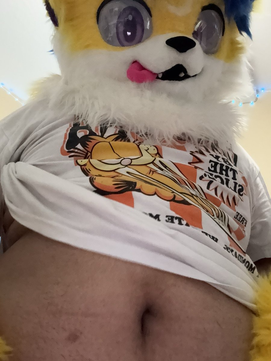 XanTheCat_'s tweet photo. happy #tummytuesday my xanbase :3 https://t.co/f6owhktPrg