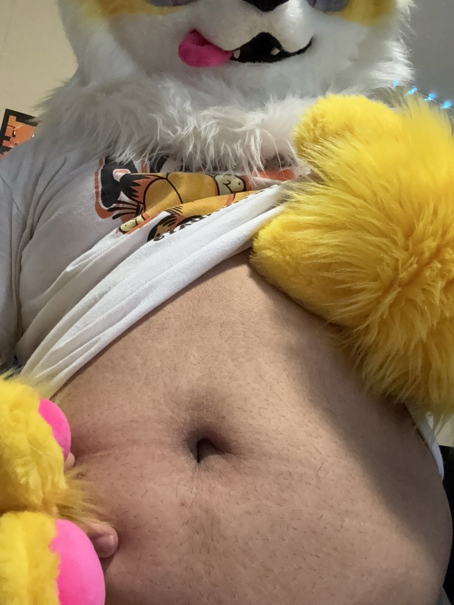 XanTheCat_'s tweet photo. happy #tummytuesday my xanbase :3 https://t.co/f6owhktPrg