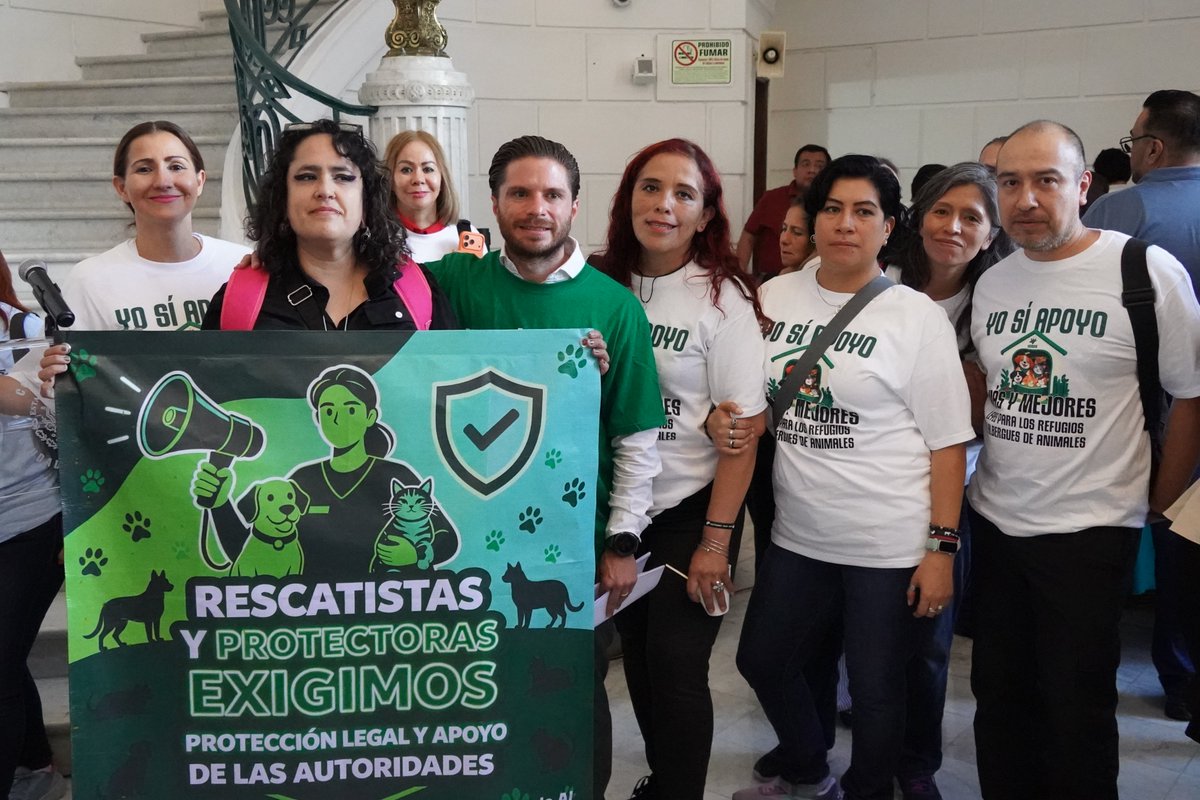 talapariente's tweet photo. En el @VerdeCDMX presentamos una iniciativa para dar más apoyo a albergues, refugios y rescatistas independientes.
Buscamos darles respaldo institucional, atención médica, capacitaciones y más jornadas de adopción en las 16 alcaldías de la #CDMX #animalista #refugios
#albergues https://t.co/CNRQEDNEnA
