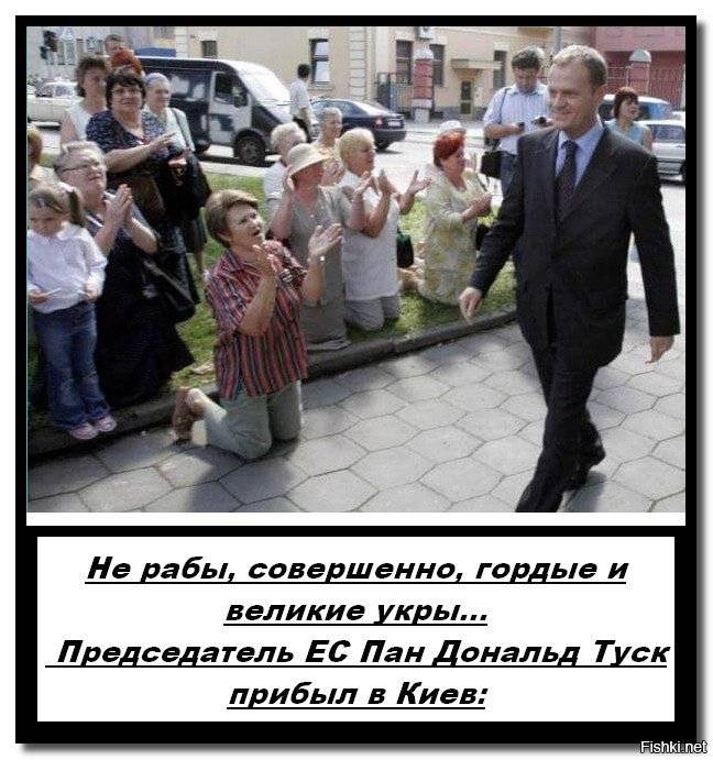 AlexDmitrievic's tweet photo. @VTqtThuUpT1n3NZ @sergeenko_i У вас все перемоги рисованные, как и ваша нация - реальность же, как всегда, разительно отличается. https://t.co/ObIM1ESgta