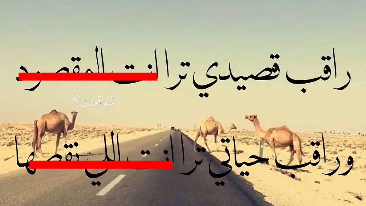 l6llb_'s tweet photo. منت مقصود 
               منت اللي فيها 
( الخلااااااا ) https://t.co/oaeW9IZWXi