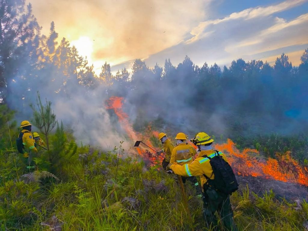 MongabayLatam's tweet photo. Colombia enfrenta incendios forestales intensificados por El Niño. Tolima suma 270 en 57 días y la región Andina concentra más del 92 % de las alertas. En Boyacá, el fuego afectó Villa de Leyva y tardó siete días en ser controlado en Iguaque.  https://t.co/SUV5ELy1V3 https://t.co/MHlPSrP3Us