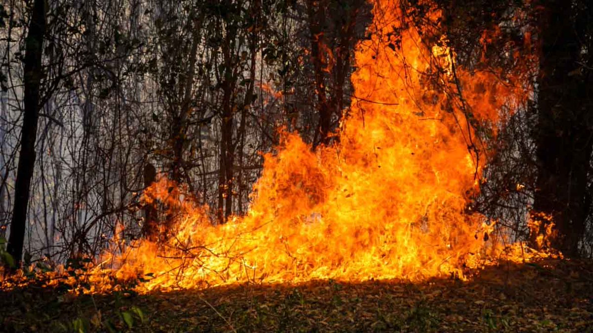 MongabayLatam's tweet photo. Colombia enfrenta incendios forestales intensificados por El Niño. Tolima suma 270 en 57 días y la región Andina concentra más del 92 % de las alertas. En Boyacá, el fuego afectó Villa de Leyva y tardó siete días en ser controlado en Iguaque.  https://t.co/SUV5ELy1V3 https://t.co/MHlPSrP3Us