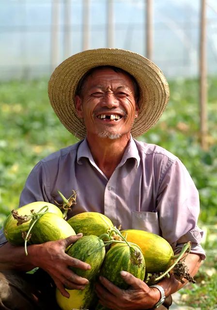 0327_9903's tweet photo. This is a story about a poor man whose heart blooms like a melon hidden deep inside, full of warm surprises.， https://t.co/e7sVblrcJf
