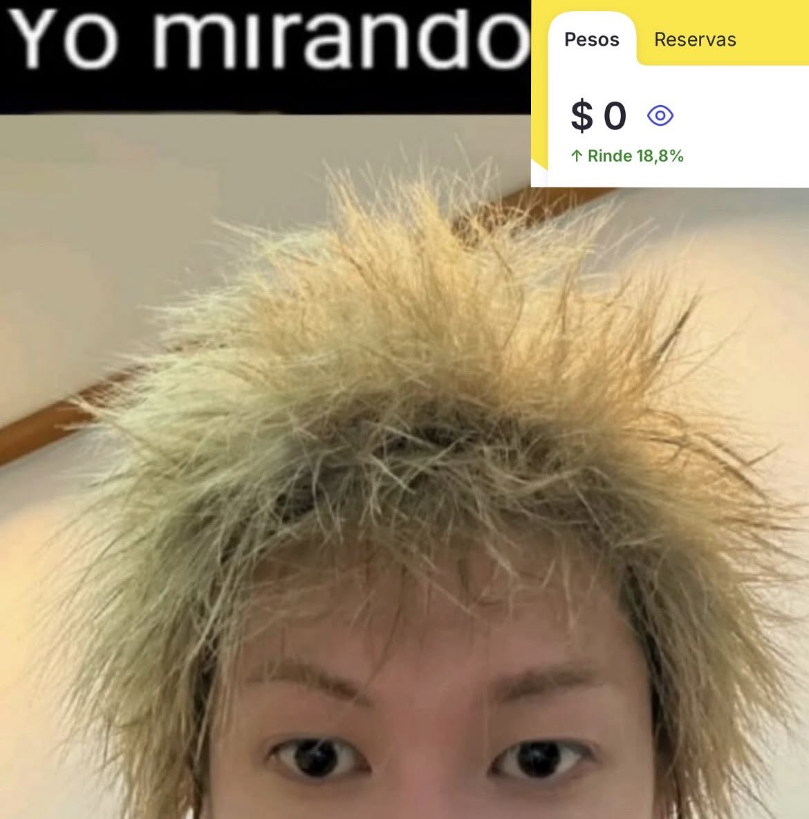 dearjng's tweet photo. 𓄲  𓏼 busco mutuals ִֶָ🪽་༘
     #kpoptwt - #stantwt 

 prio : olivia rodrigo, skz, 
      cortis, ive, aespa, bp, etc.

dni : subtwt, antis de argentina o mis favs !

♡ + ↻ =  mutis xsiempree  ⟢ https://t.co/H9hjUSycs1