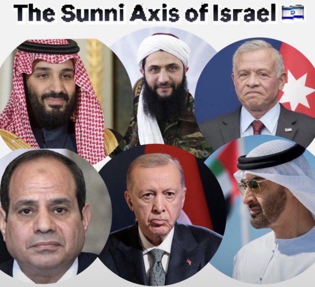 Bayerbyt's tweet photo. @RyanRozbiani The Sunni-Israeli-defense pack is growing rapidly 🥴 https://t.co/lHKLYV9cDW