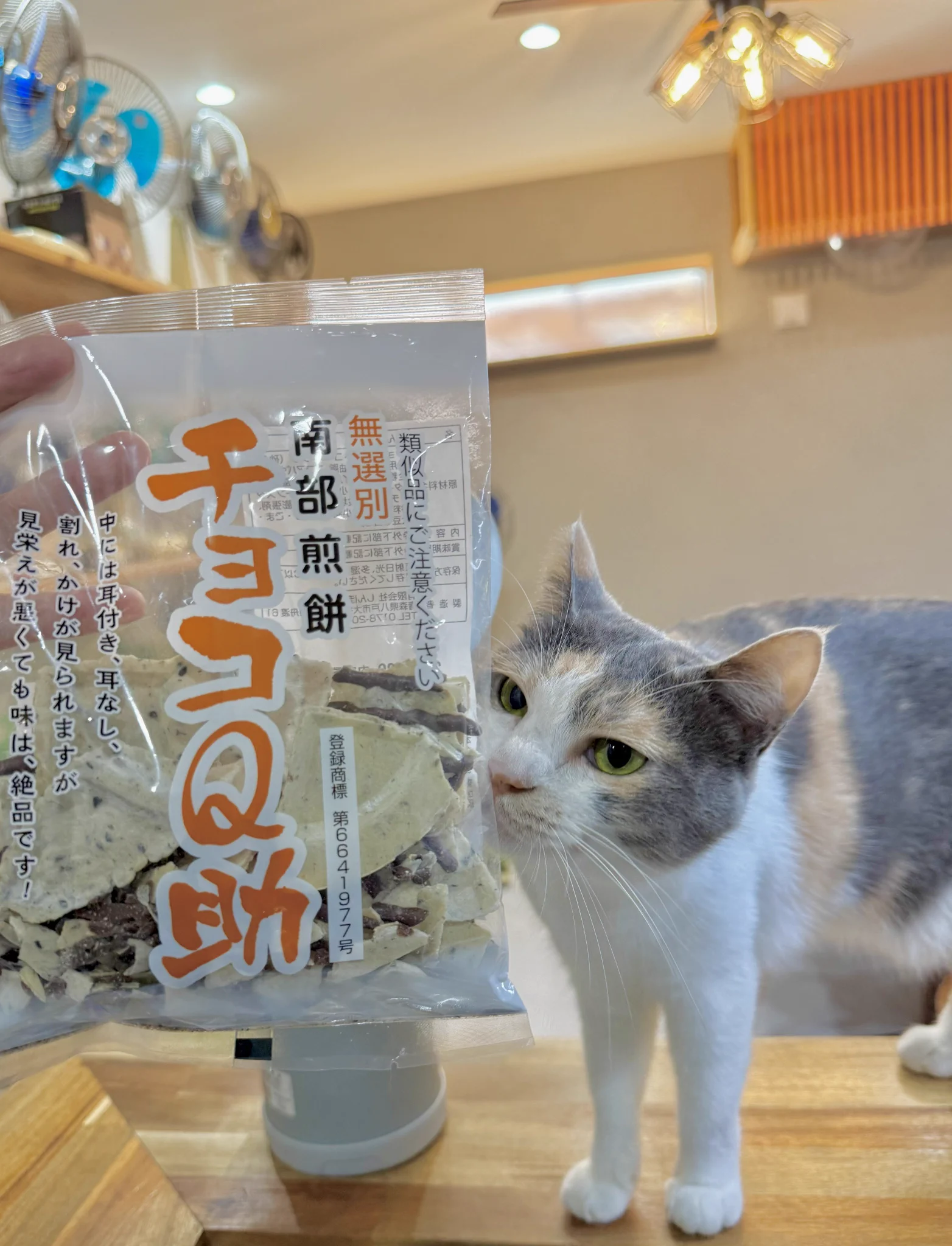 なみそ📕KEN/メジェド4コマ書籍化！ on X: 