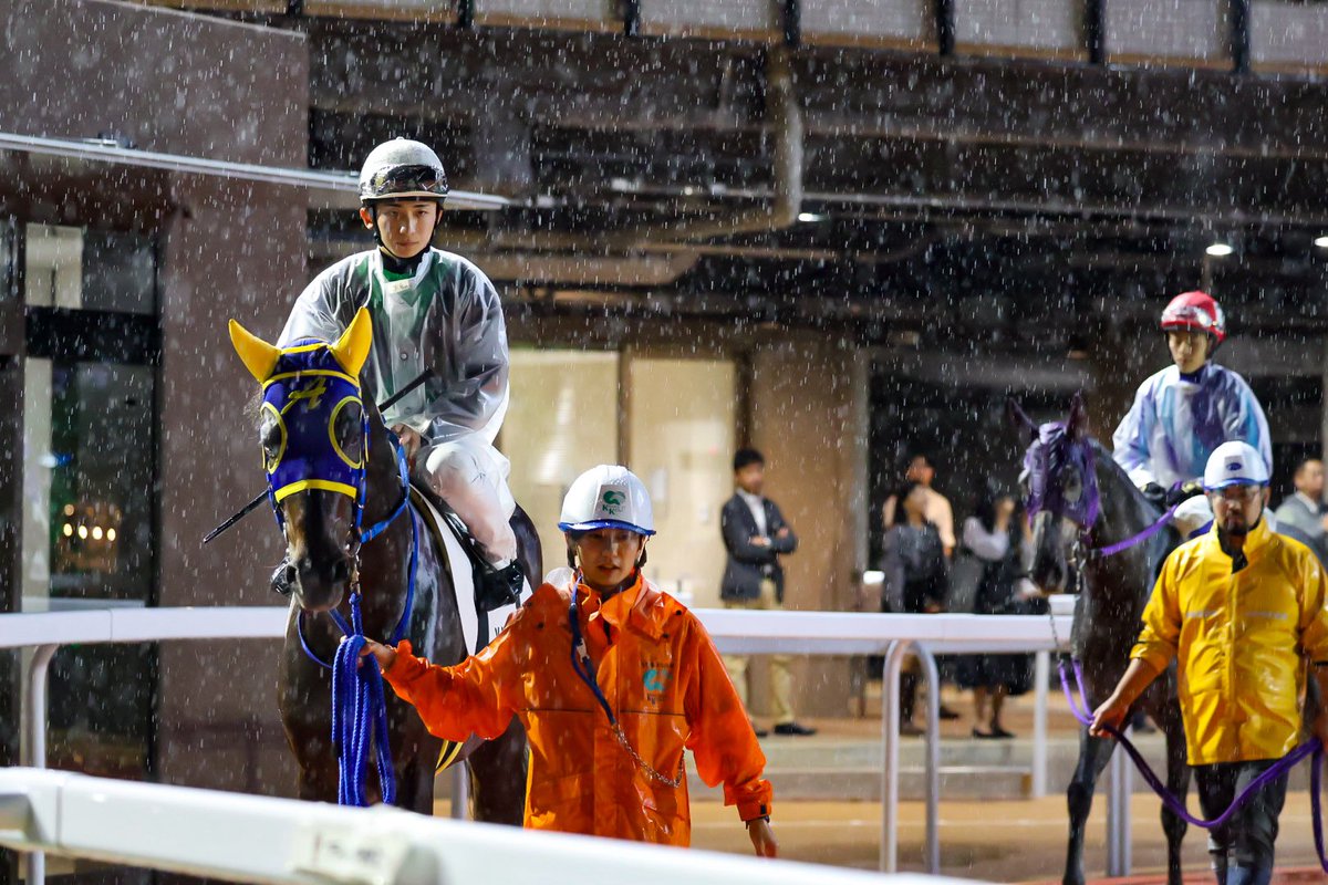 _mtmtkkn_'s tweet photo. 2026.09.29 船橋競馬場

ヤングジョッキーズシリーズ
長浜鴻緒騎手

大雨が降る中、お疲れ様でした⭑.ᐟ

#長浜鴻緒 https://t.co/UDibO2fpkM