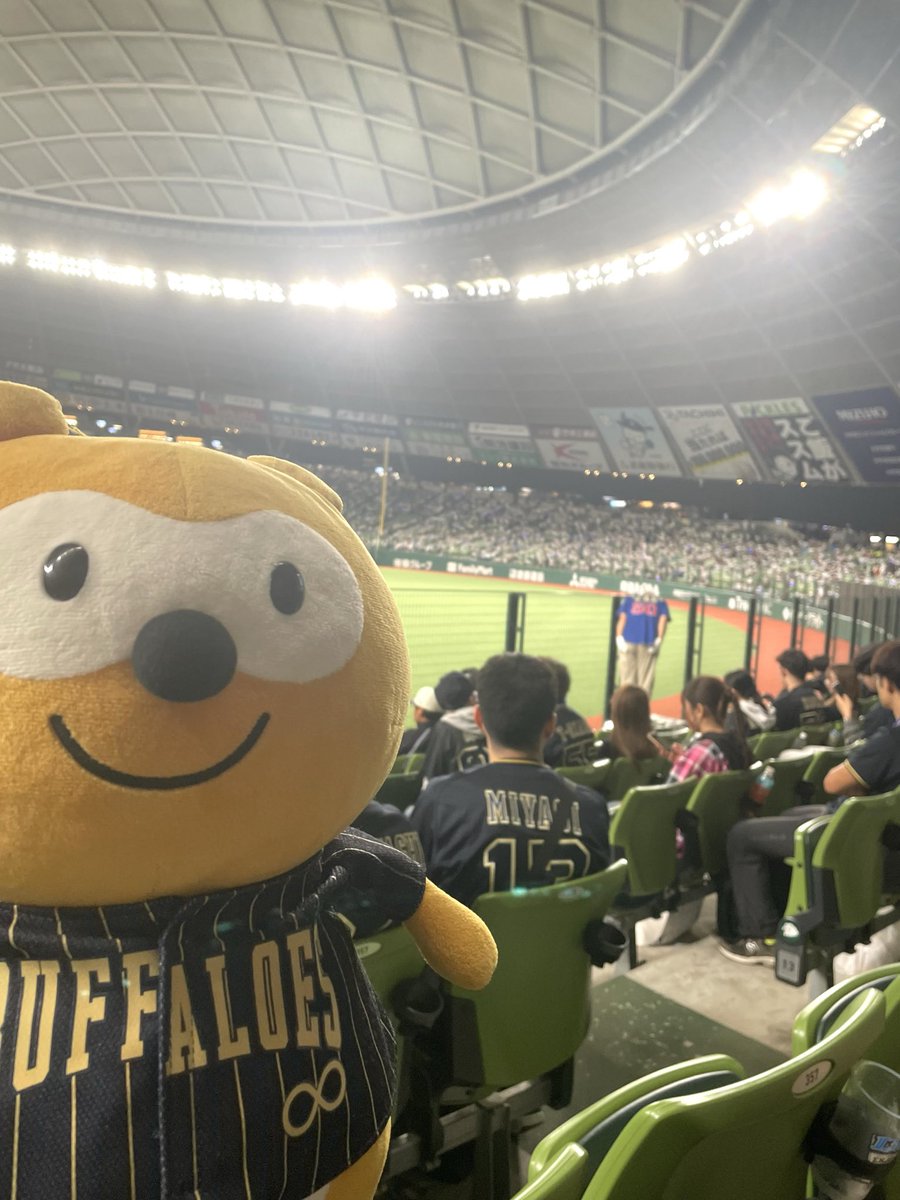 mamemameta222's tweet photo. 昨日はオリックス🌟
今年は最後の試合だった💦
応援団のみなさん
今シーズンおつかれさまでした🪽
来年まで、また会えないのが寂しいなぁ😿
また来年も、ディア君とたくさん
オリックス会いに行くぞー‼︎ https://t.co/CHuT1wVGiN