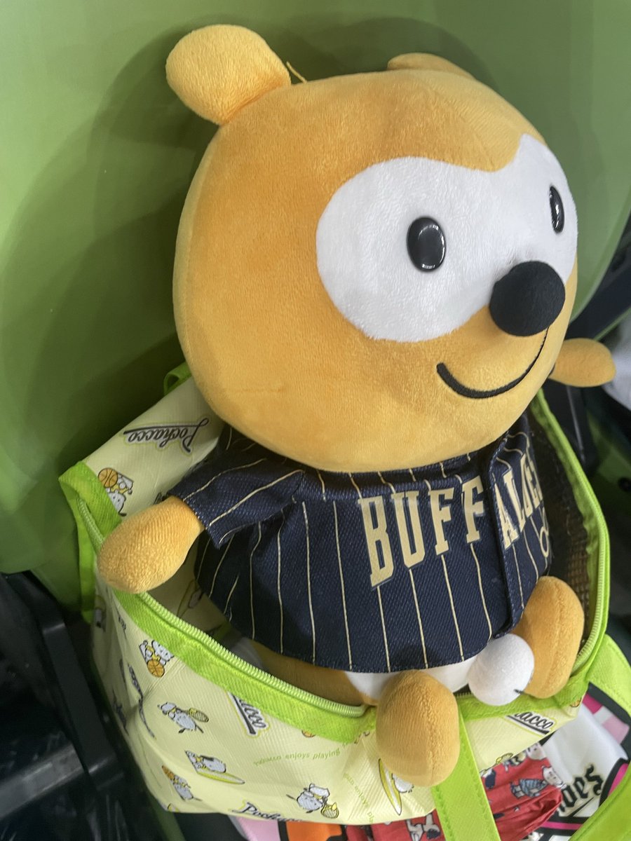 mamemameta222's tweet photo. 昨日はオリックス🌟
今年は最後の試合だった💦
応援団のみなさん
今シーズンおつかれさまでした🪽
来年まで、また会えないのが寂しいなぁ😿
また来年も、ディア君とたくさん
オリックス会いに行くぞー‼︎ https://t.co/CHuT1wVGiN