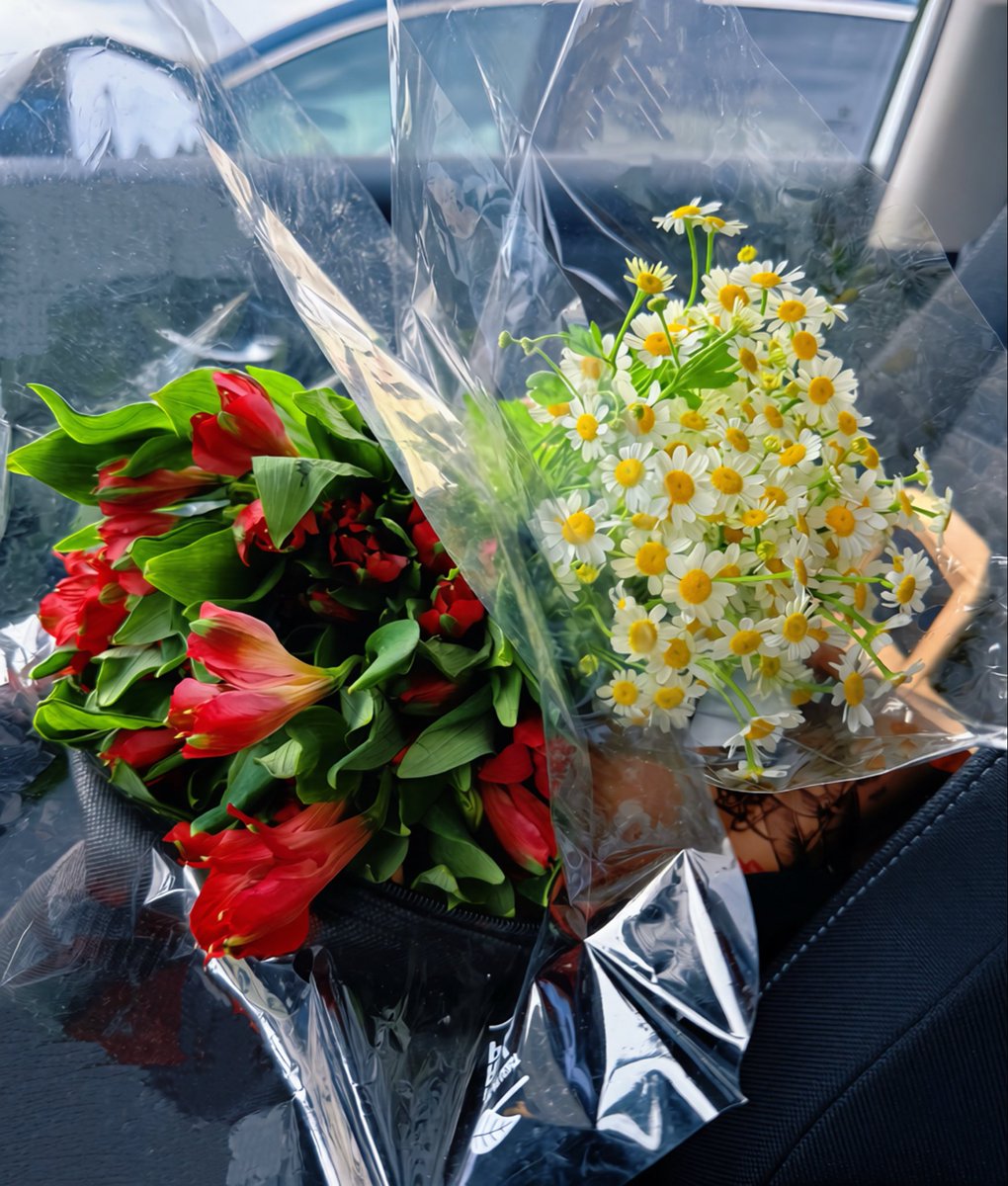 FanruShen's tweet photo. Fall Flowers 🌼 https://t.co/qaHkbpS5Ec