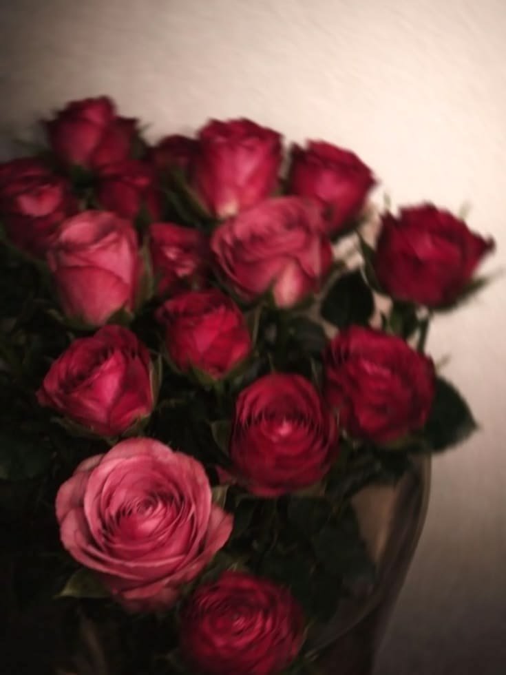 Velvethorns1's tweet photo. You’re the flower I never knew I was looking for,
but I’m still afraid to leave the garden
I sacrificed so much of myself to grow. https://t.co/37nK1K2XwD