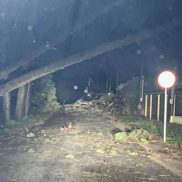 portalmvd's tweet photo. SERRA ADVIERTE POR TORMENTAS FUERTES EN OCHO DEPARTAMENTOS DURANTE NOVIEMBRE Y DICIEMBRE

El meteorólogo José Serra advirtió que noviembre y diciembre serán los meses más críticos de 2026 por El Niño, con lluvias copiosas que podrían superar los 150 milímetros en cortos períodos y episodios de tiempo severo.

Según Serra, las tormentas más fuertes podrían afectar a Artigas, Salto, Tacuarembó, Cerro Largo, Treinta y Tres, parte de Durazno, el norte de Rocha y Lavalleja, con posibilidad de granizo, vientos fuertes y vendavales.

Para los próximos días, en cambio, prevé temperaturas de entre 18 ºC y 20 ºC y algunas precipitaciones, aunque sin grandes acumulados al menos hasta el próximo lunes.

(+) en Montevideo Portal: https://t.co/AB25Ojbusg