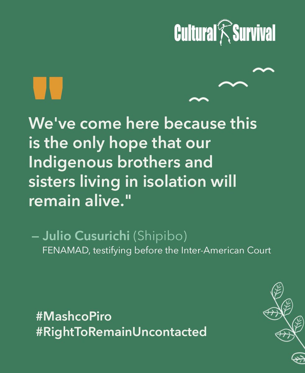 CSORG's tweet photo. Living in isolation is the Mashco Piro's choice, and a right Peru has failed to protect for 30 years.

FENAMAD has taken their case to the Inter-American Court. Final arguments are due Oct 26. Every day of delay, logging advances.

#MashcoPiro #RightToRemainUncontacted https://t.co/jMmq7fIVHs