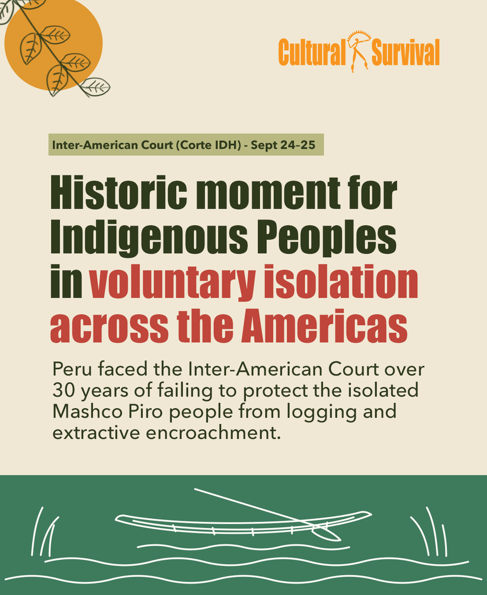 CSORG's tweet photo. Living in isolation is the Mashco Piro's choice, and a right Peru has failed to protect for 30 years.

FENAMAD has taken their case to the Inter-American Court. Final arguments are due Oct 26. Every day of delay, logging advances.

#MashcoPiro #RightToRemainUncontacted https://t.co/jMmq7fIVHs
