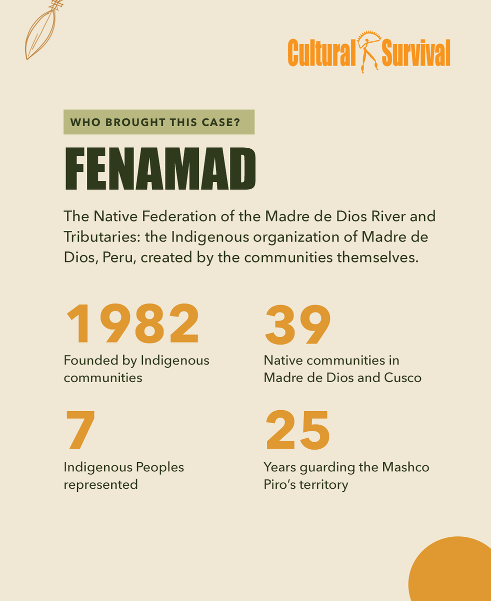 CSORG's tweet photo. Living in isolation is the Mashco Piro's choice, and a right Peru has failed to protect for 30 years.

FENAMAD has taken their case to the Inter-American Court. Final arguments are due Oct 26. Every day of delay, logging advances.

#MashcoPiro #RightToRemainUncontacted https://t.co/jMmq7fIVHs