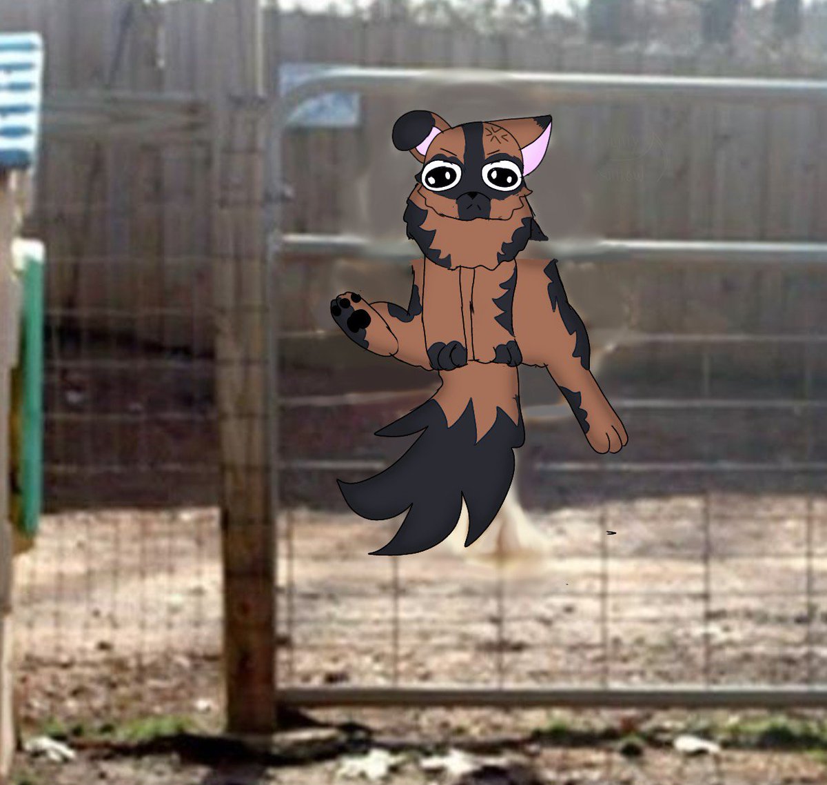 lilly_willow_'s tweet photo. I think someone got stuck again he's not very happy about it
#lillyoc #funnymeme #lolmeme #cute #silliness https://t.co/M0Tag1CEAG