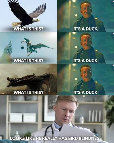 JasonDeWall's tweet photo. Hawkeyes, hawks, big bird.... They're all the same to him #Senator #EricSchmitt is obviously suffering from #birdblindness #thepeacemaker https://t.co/xe2poHycML