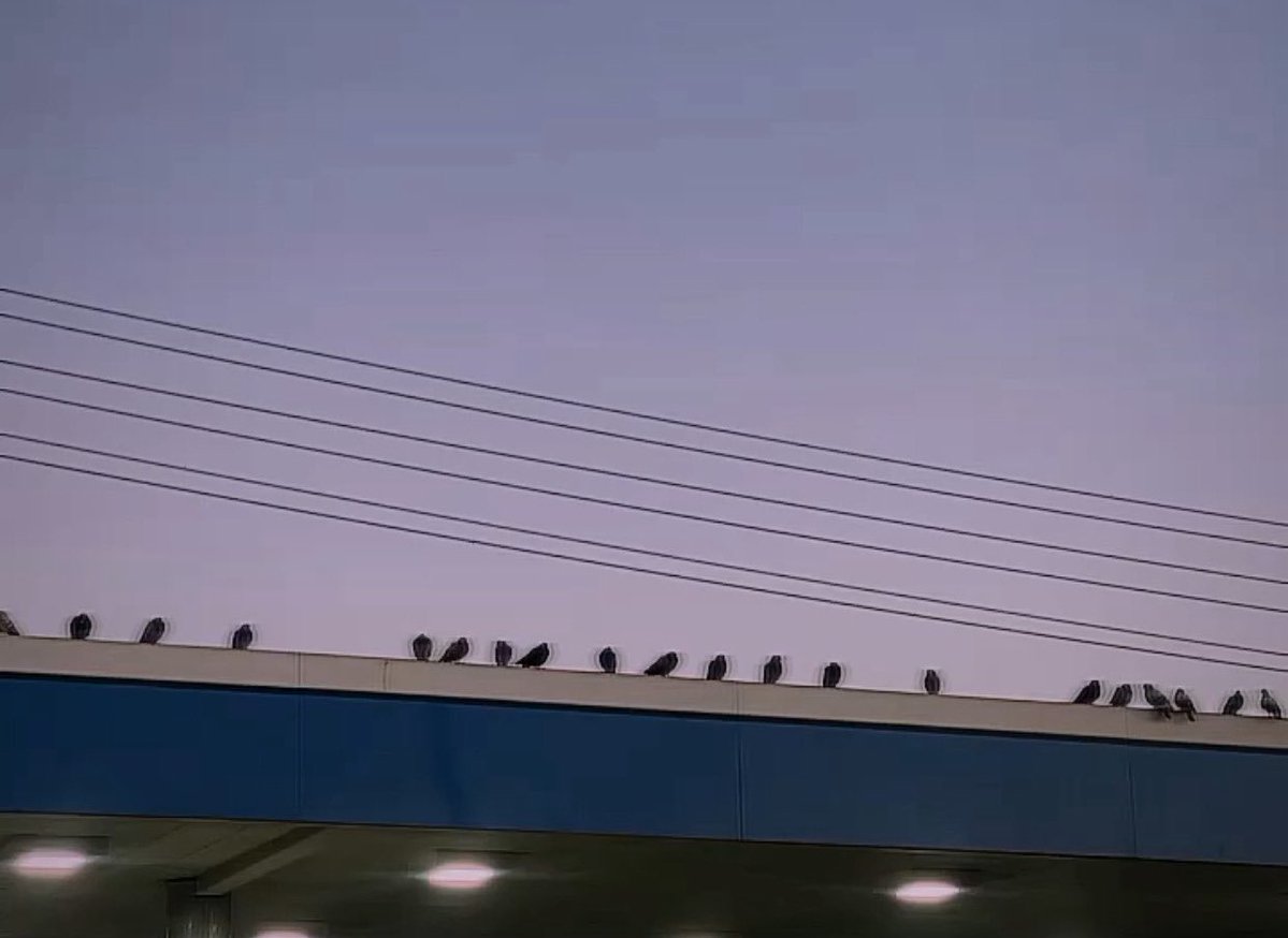 Owlqsk's tweet photo. Pics that feel like a distant memory remembered. #hazy #photography #dream https://t.co/EFAQh1YUbg