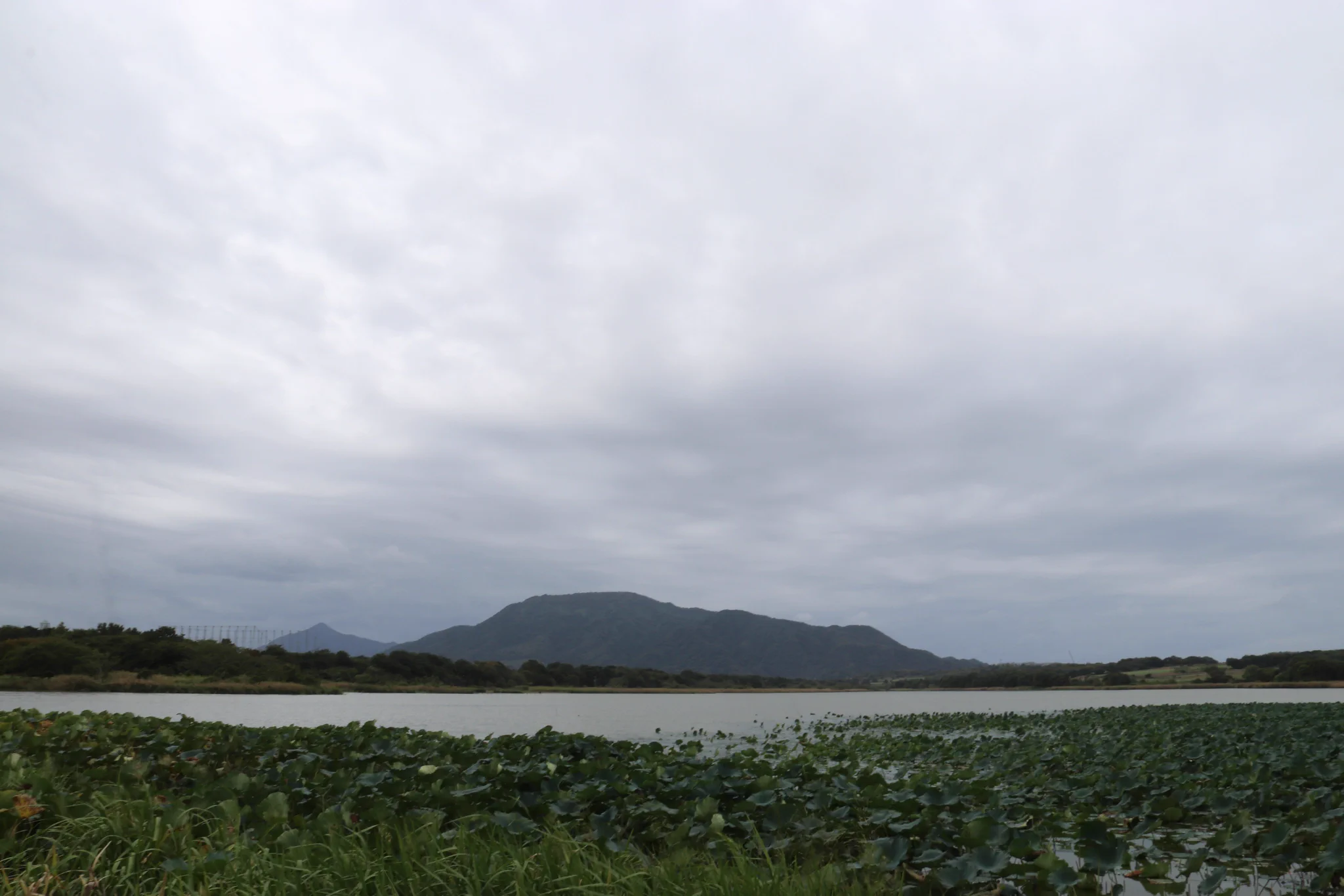佐潟水鳥・湿地センター on X: 