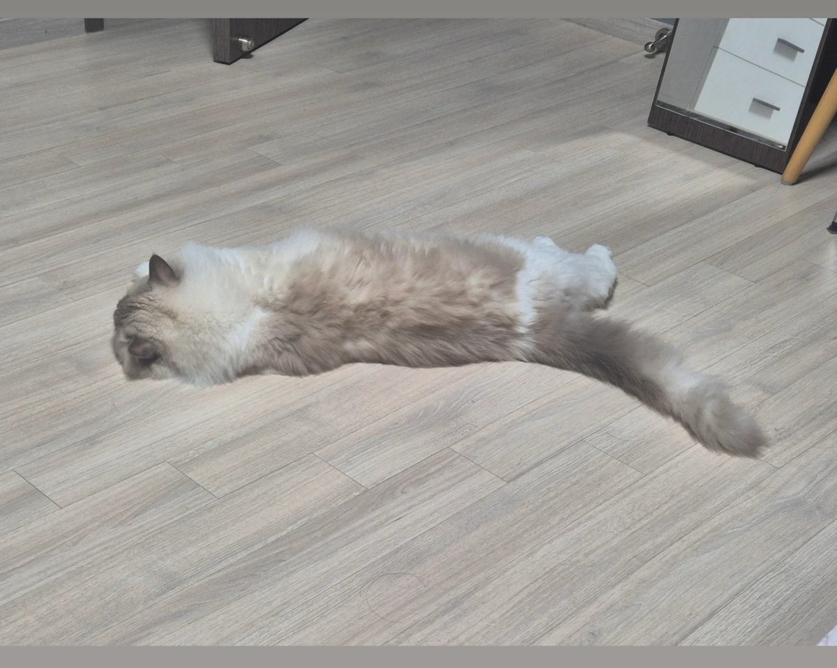 Meow05295959's tweet photo. 많이 우울한 사람이에요
모자라고 철없는 저와 친구가 되어주세요..
#우울계_𝕏친소 https://t.co/NzIAjMYVox