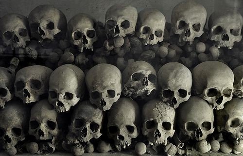 BunnieKat1962's tweet photo. #Skull organization is important! 
#Skulls https://t.co/iRggq2GNhI