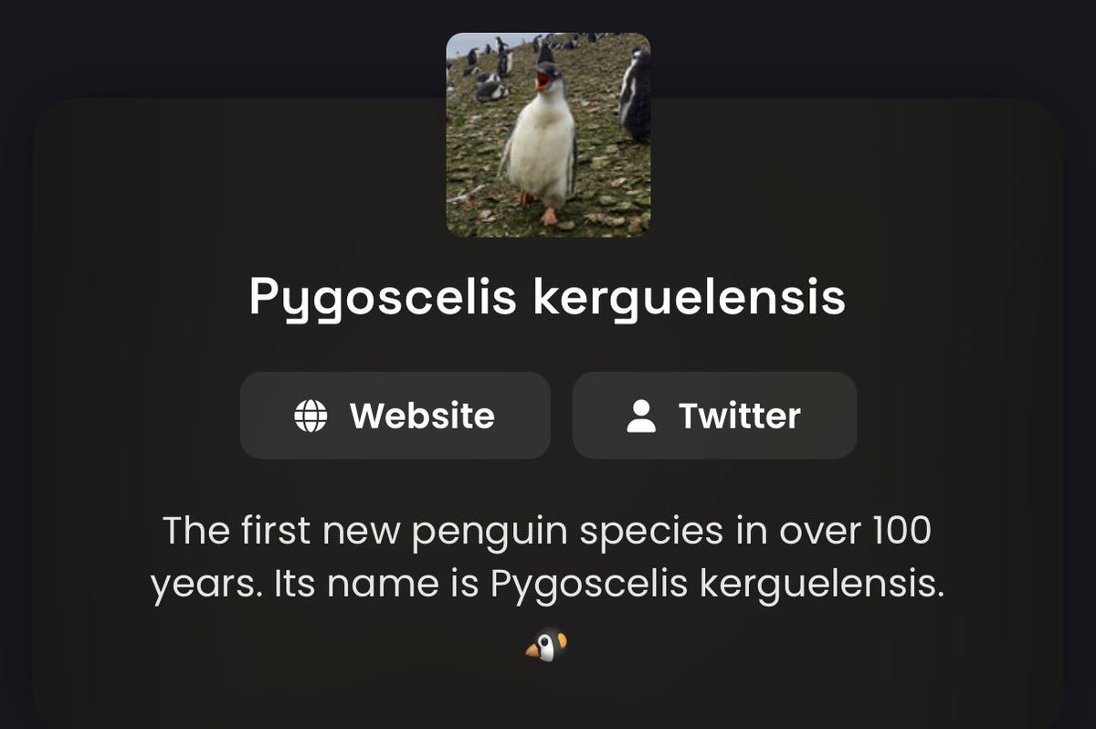 Pkerguelensis's tweet photo. 🐧 DEXSCREENER UPDATE

Our official website has now been added to DexScreener!

Another piece of the foundation is in place.

Pygoscelis kerguelensis
The real name. The real penguin.

And we’re still just getting started. 🐧

🌐 https://t.co/kzRvFbeJo2

CA: 6qBR7sk15ZVdt1vx6j1JgtkuurK8WrapugFptWQCyzL6