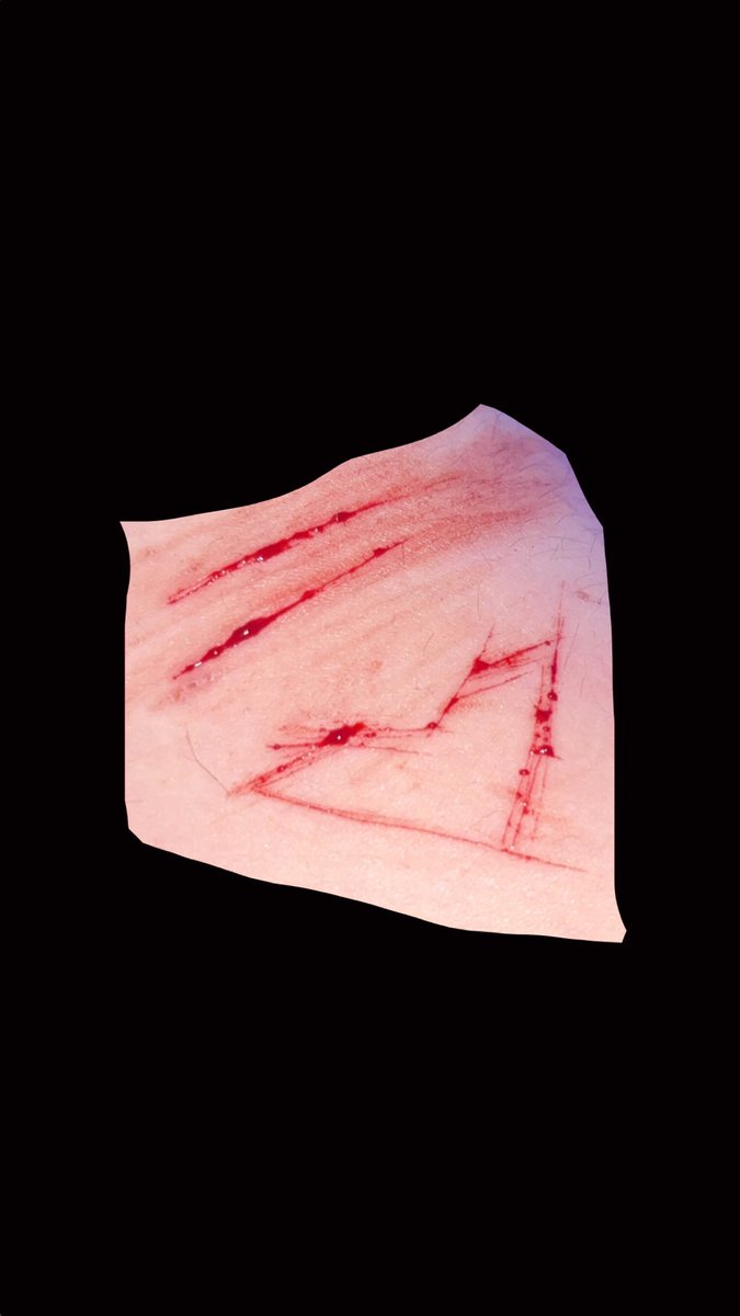 js7xc's tweet photo. aweeeee my first lil drawing ⚠️special sfx makeup for halloween made with ai⛔️  #shtwt #slittwt #styrotwt https://t.co/rlmqTYVje3