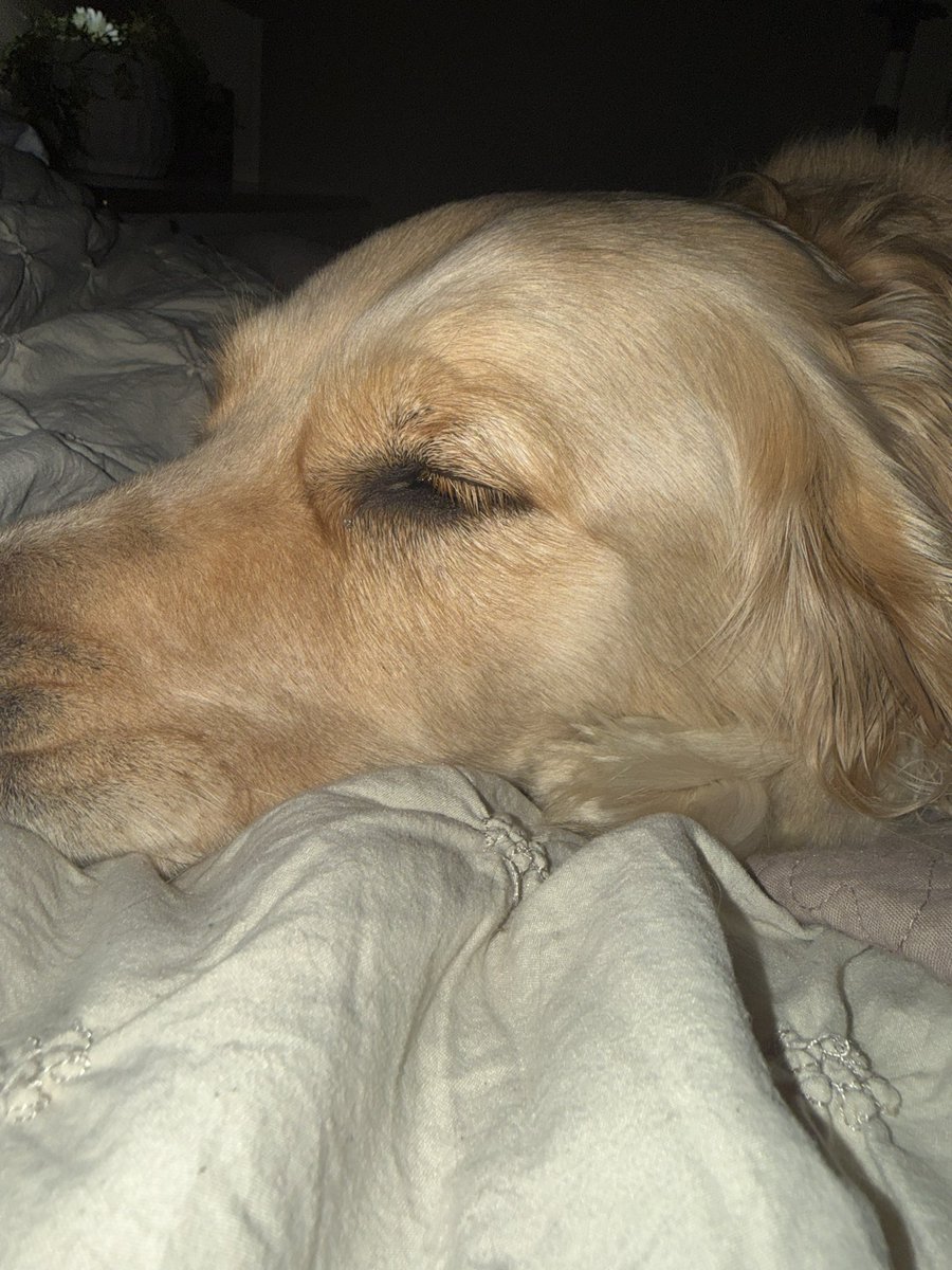 50Luckydog's tweet photo. My baby is growing up. https://t.co/Oo9wtKqTxf