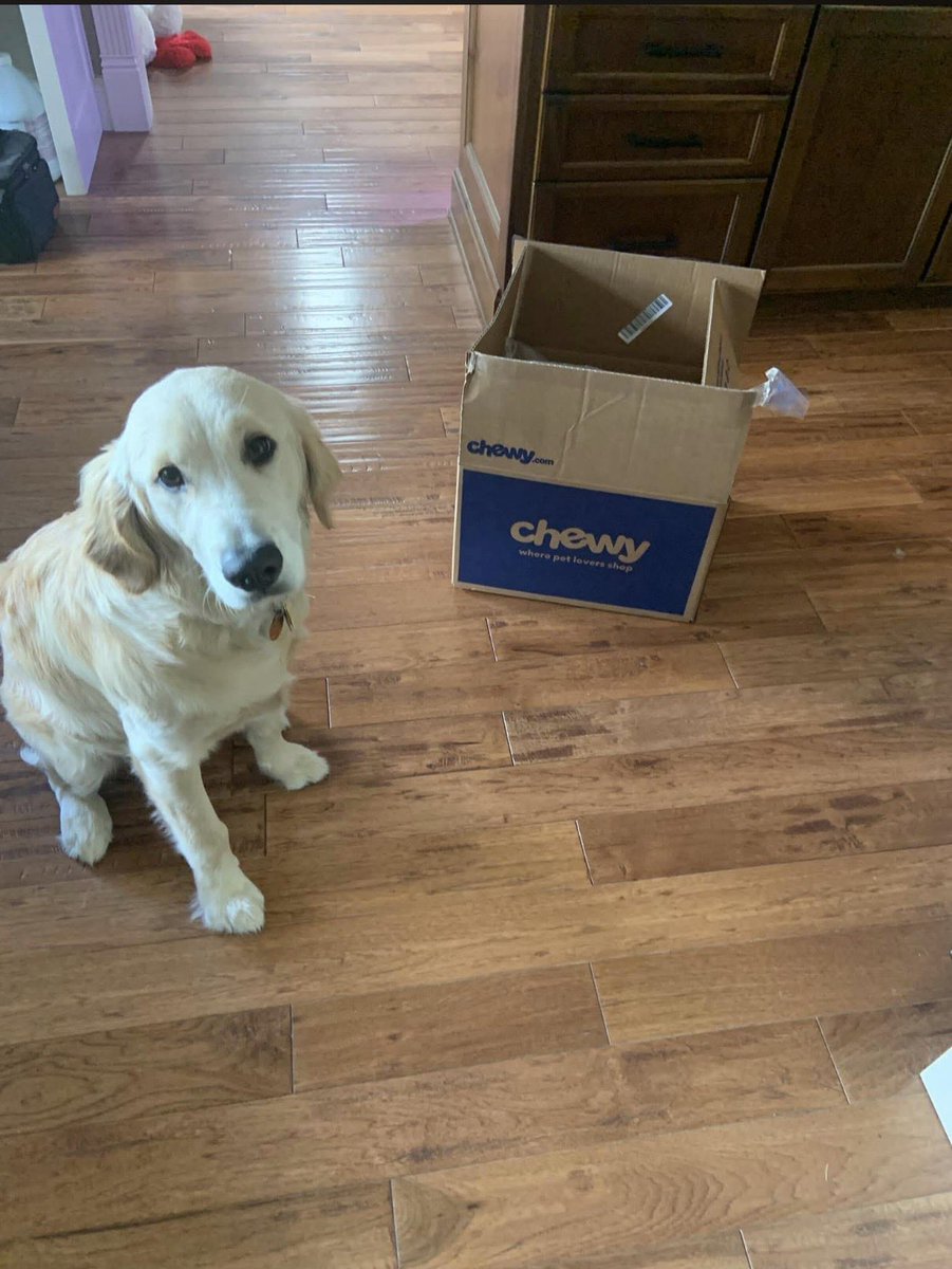 50Luckydog's tweet photo. My baby is growing up. https://t.co/Oo9wtKqTxf