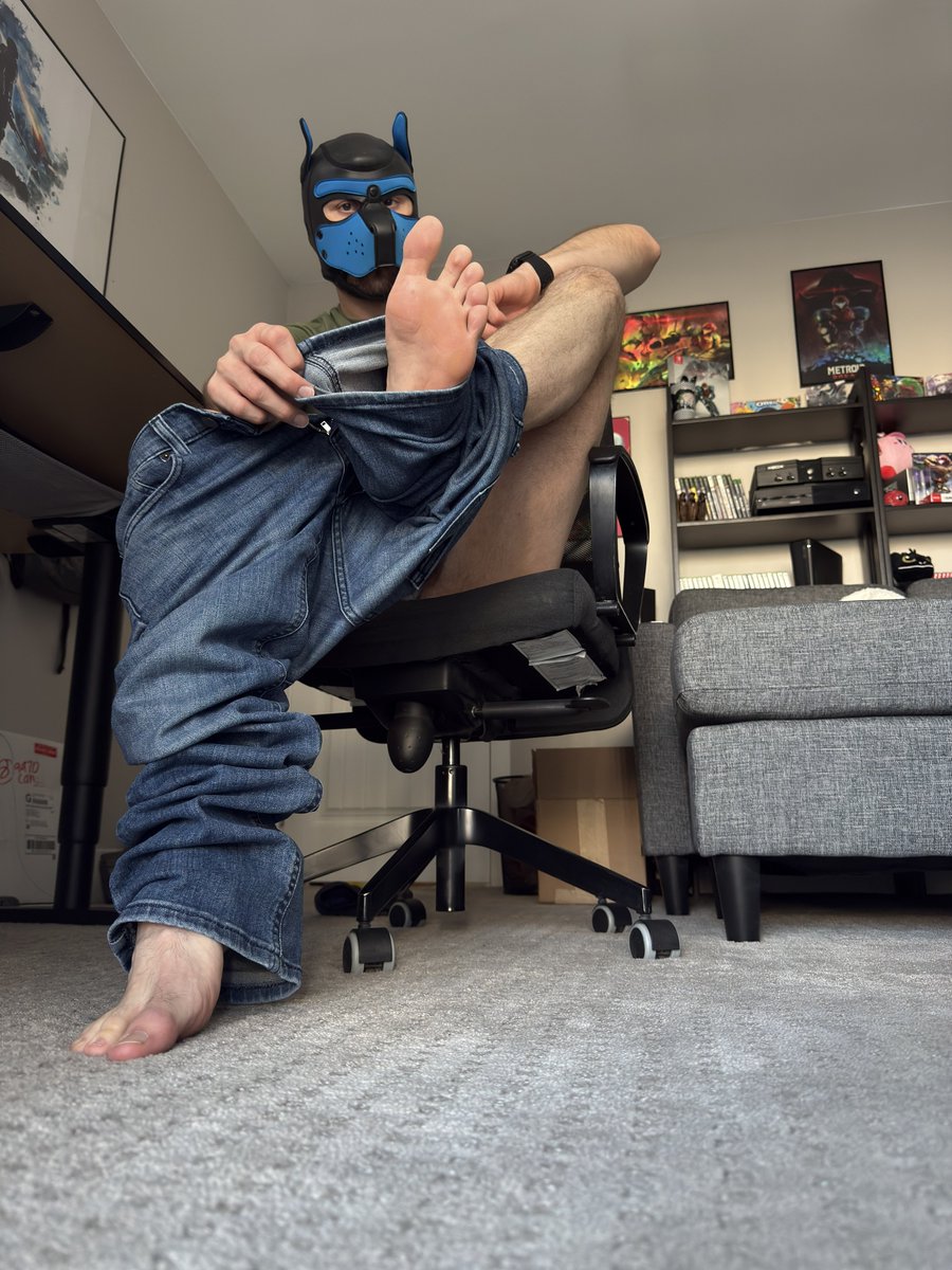 IsntItARuffLife's tweet photo. What you staring for pup? https://t.co/w7C3w56oWx