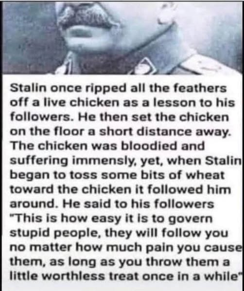 JamesTate121's tweet photo. Dear MAGA, you are the Chicken. https://t.co/IFBwiIccMc